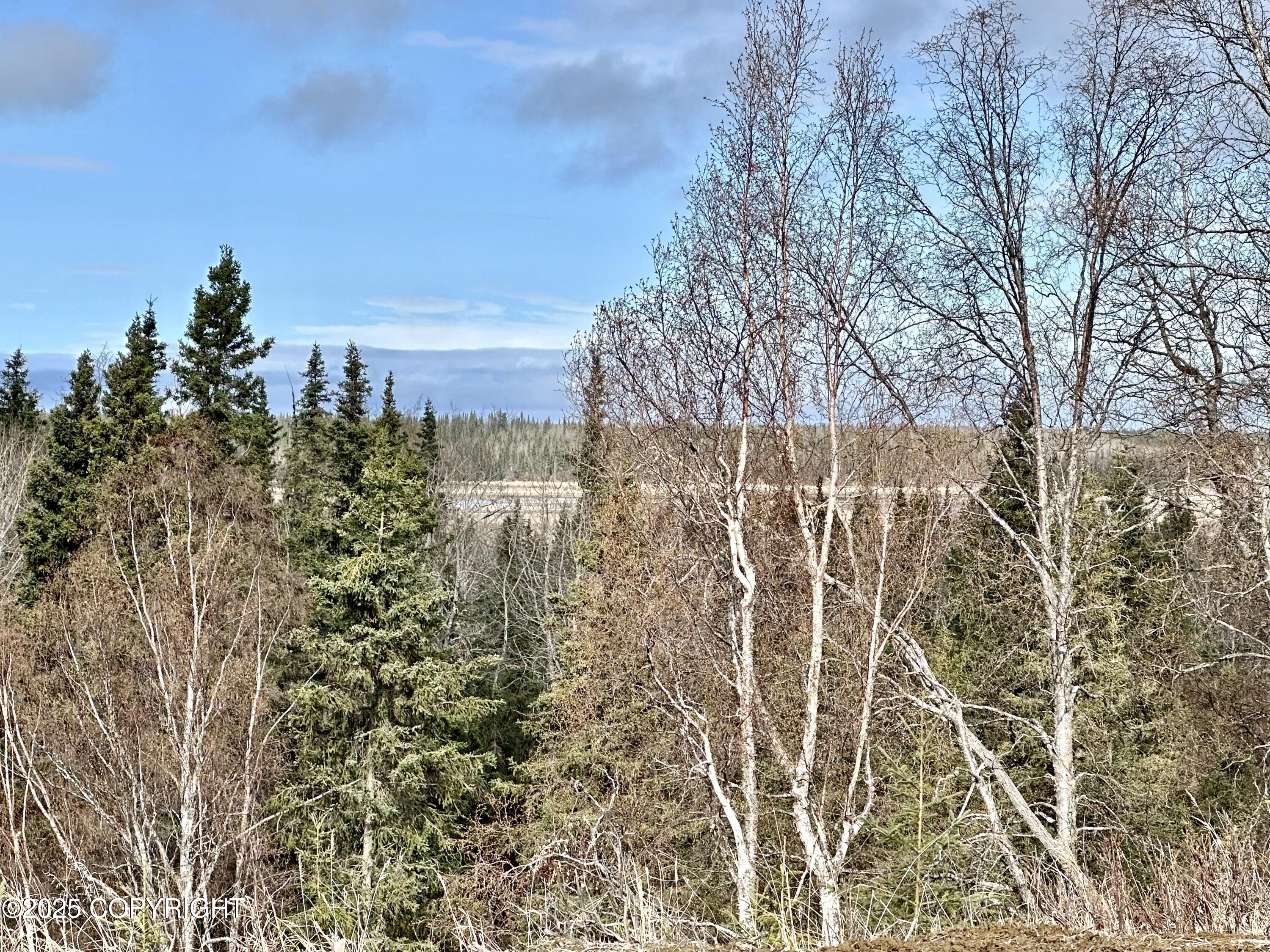 25005 Arctic Fox Road, Kasilof, Alaska image 11