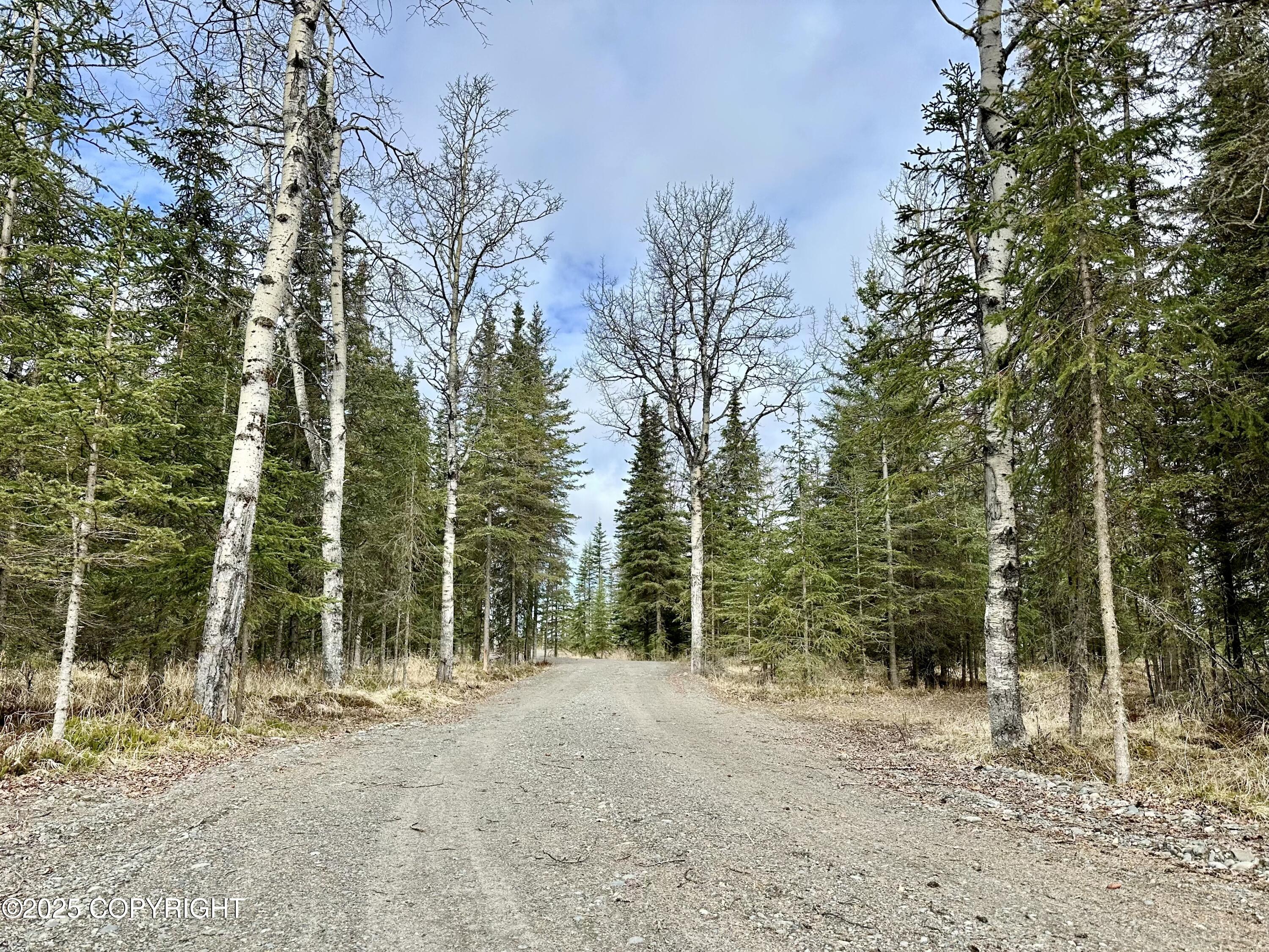 25005 Arctic Fox Road, Kasilof, Alaska image 8