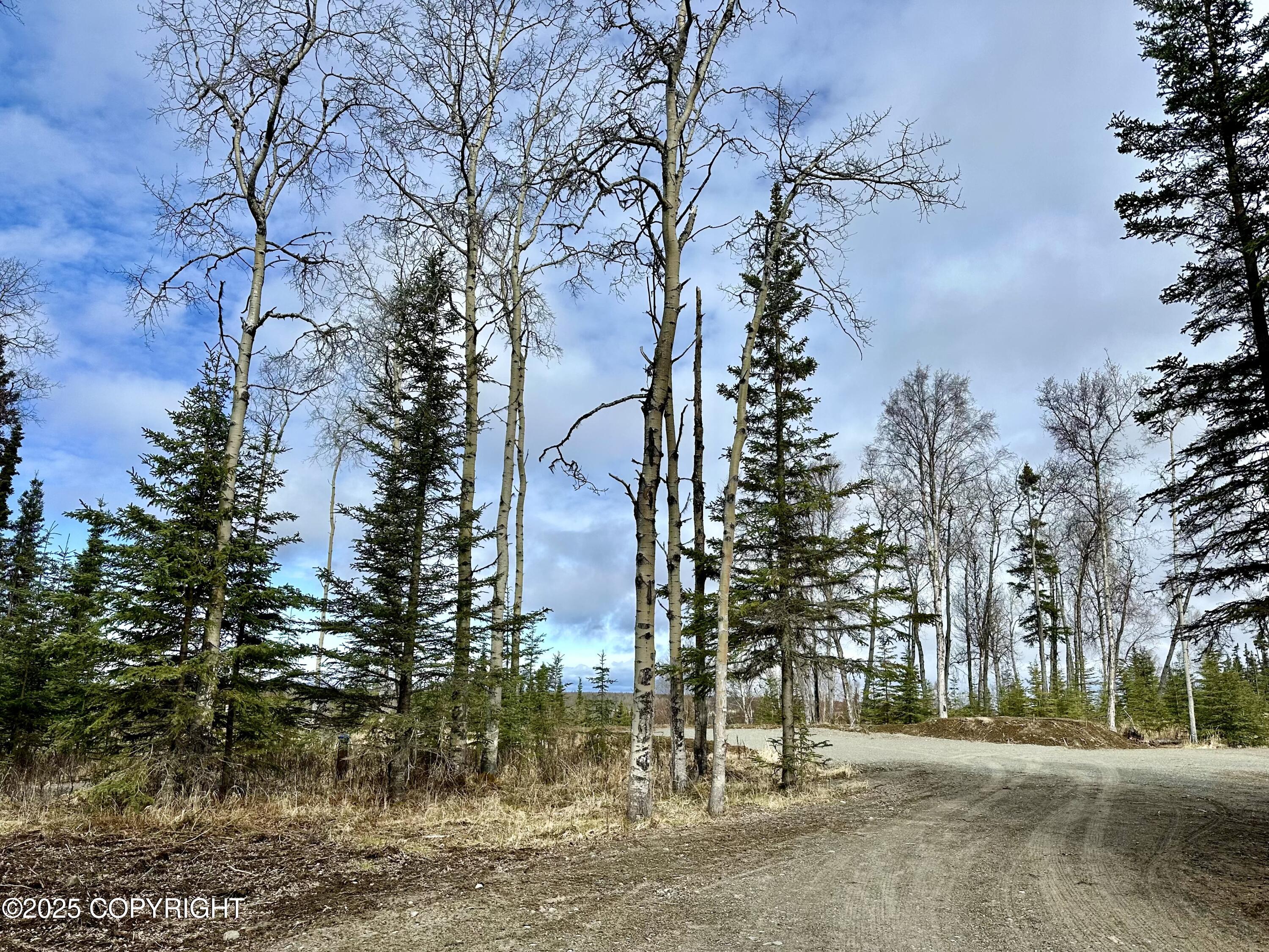 25005 Arctic Fox Road, Kasilof, Alaska image 10