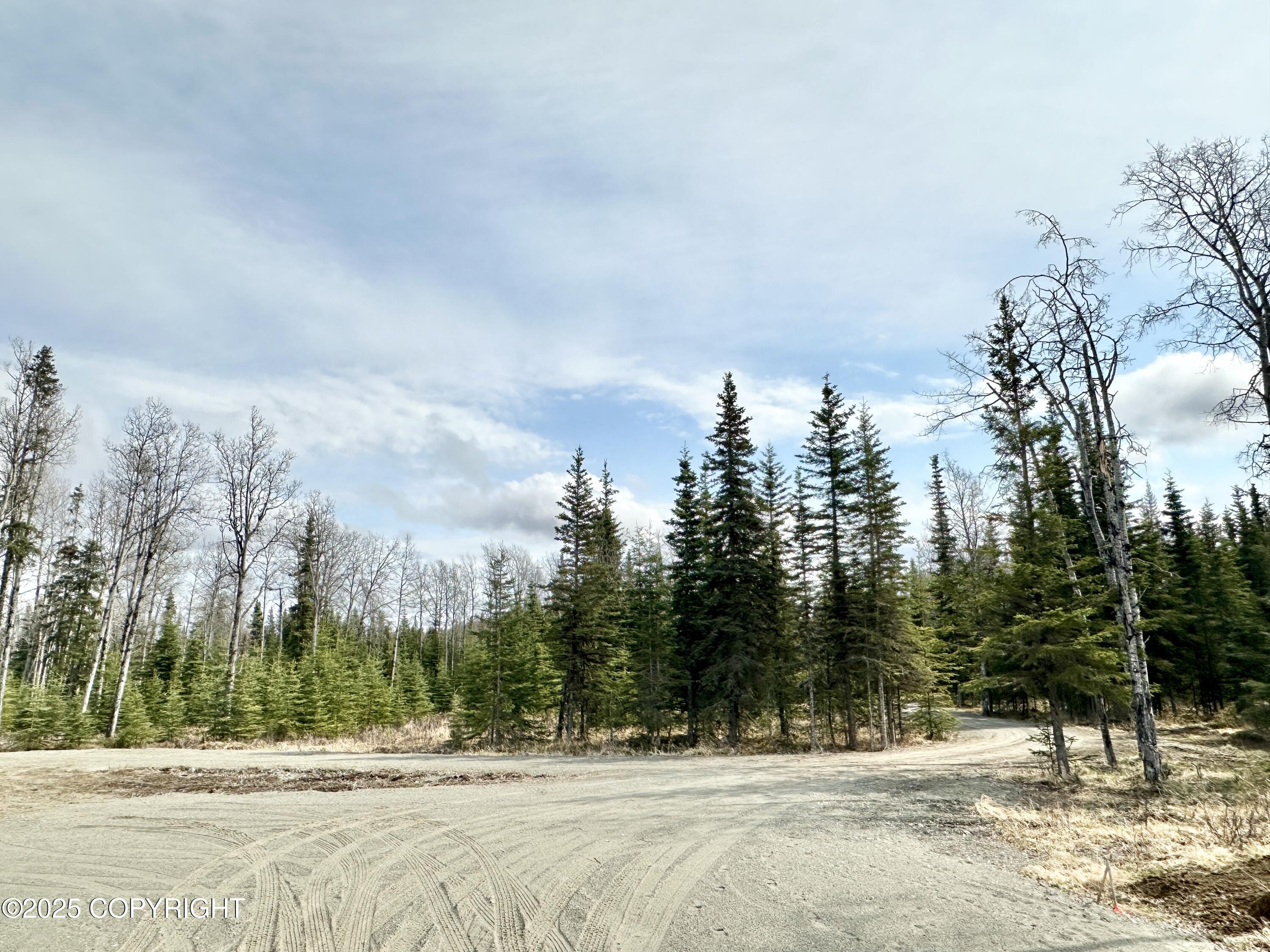 25005 Arctic Fox Road, Kasilof, Alaska image 19