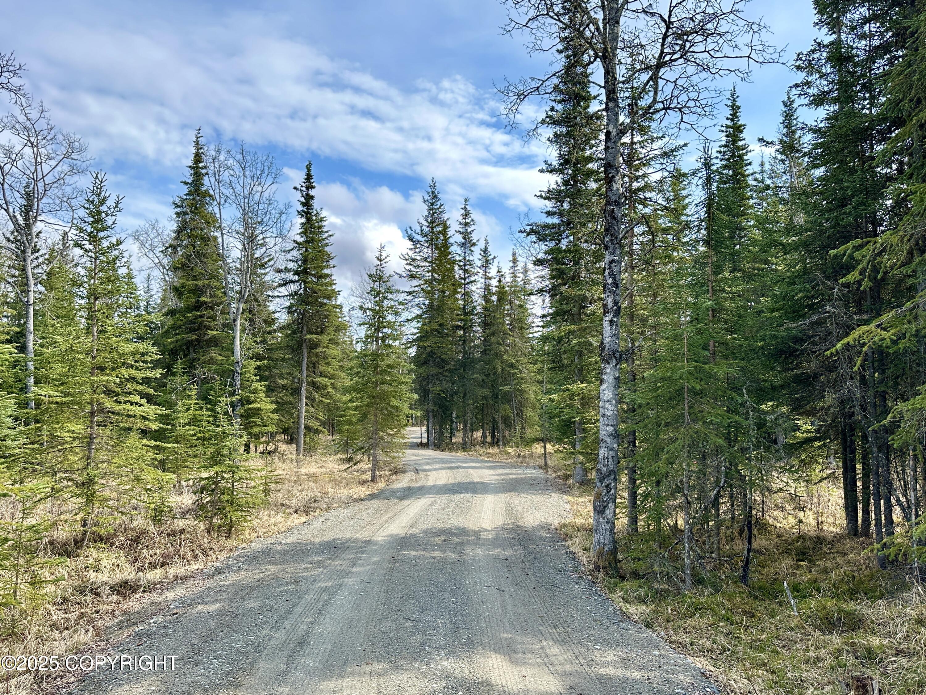 25005 Arctic Fox Road, Kasilof, Alaska image 24