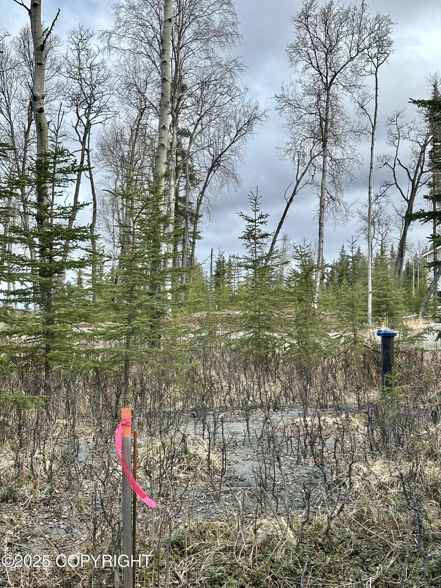 25005 Arctic Fox Road, Kasilof, Alaska image 14