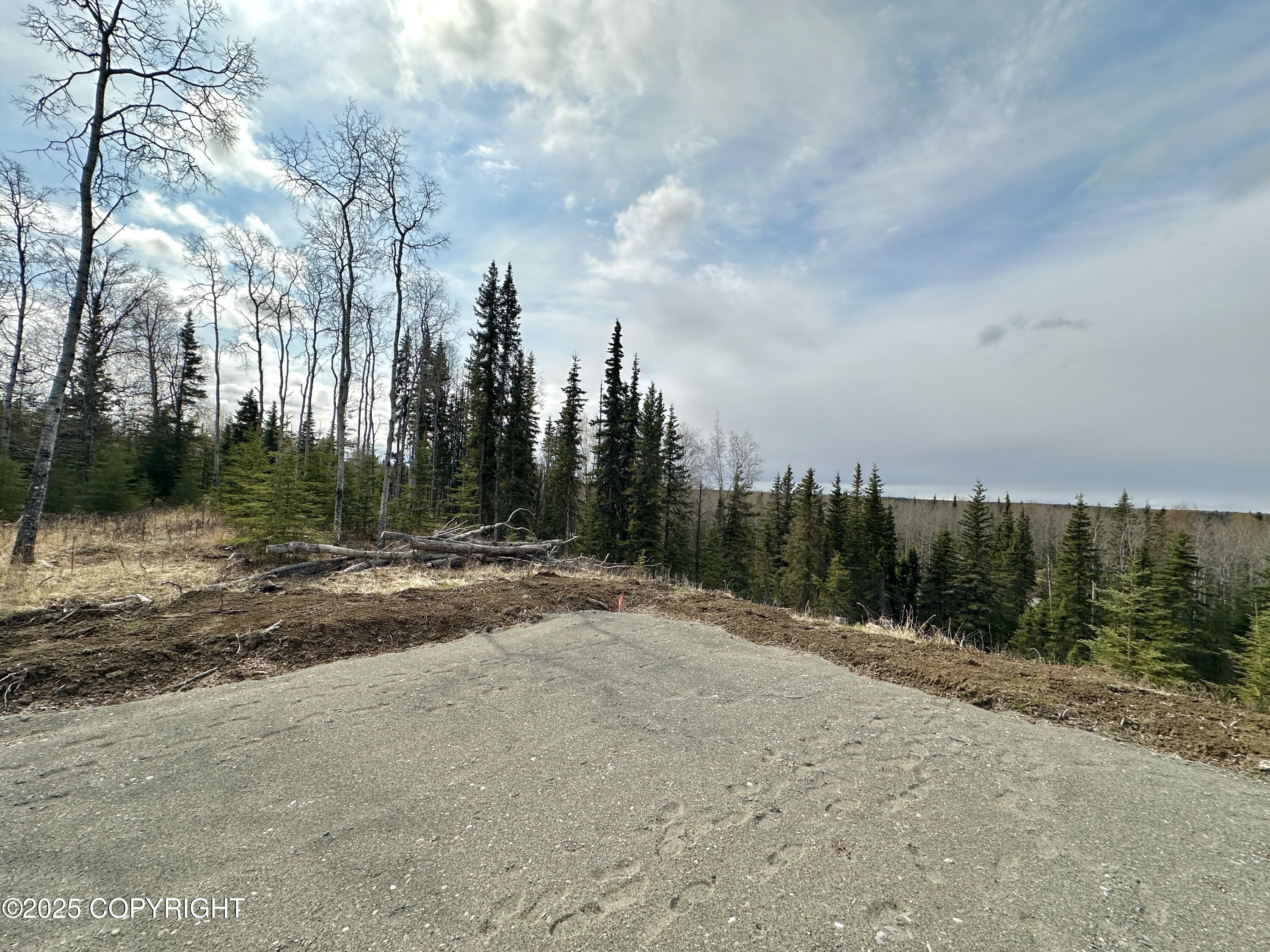 25005 Arctic Fox Road, Kasilof, Alaska image 21