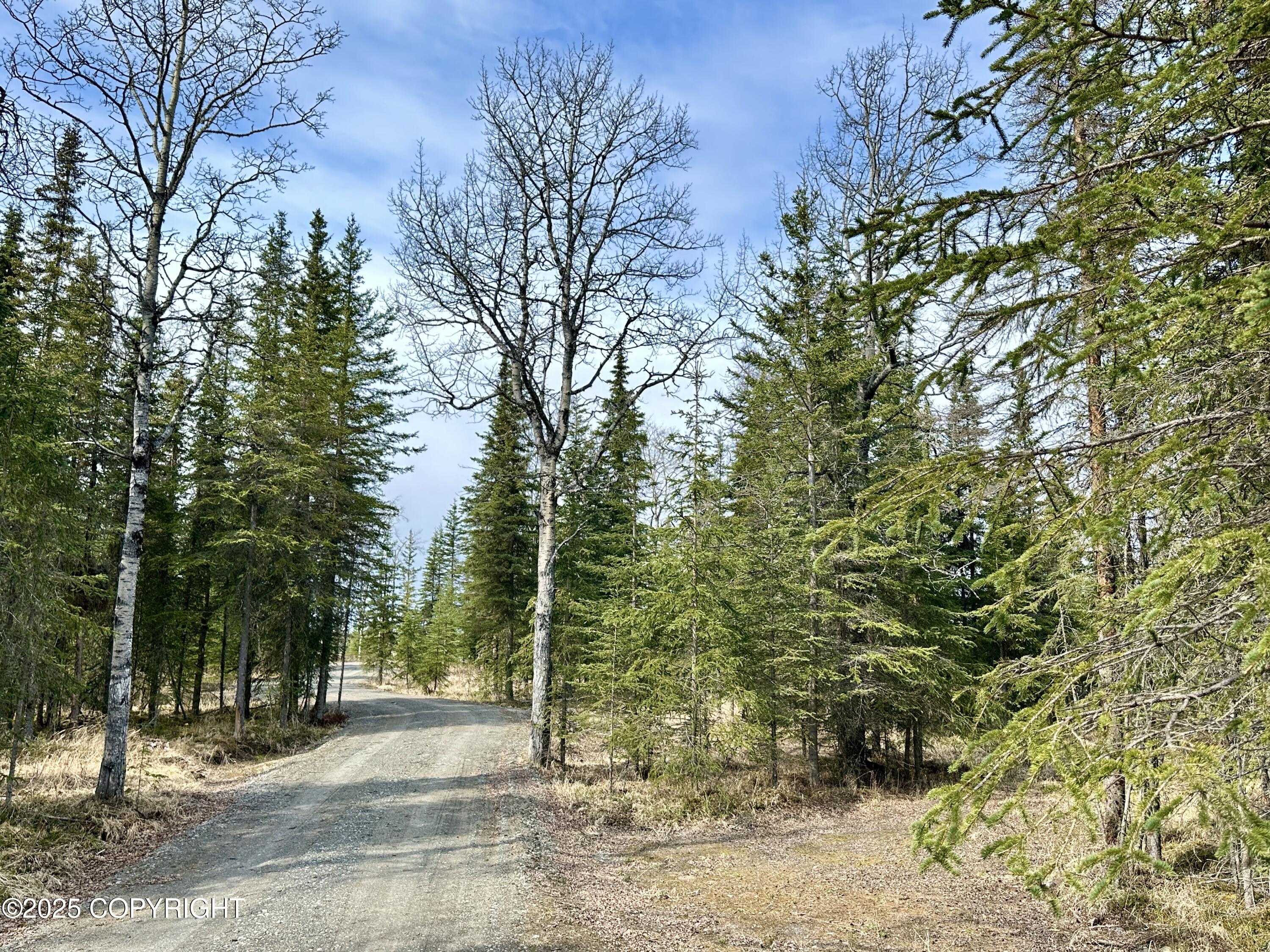 25005 Arctic Fox Road, Kasilof, Alaska image 25