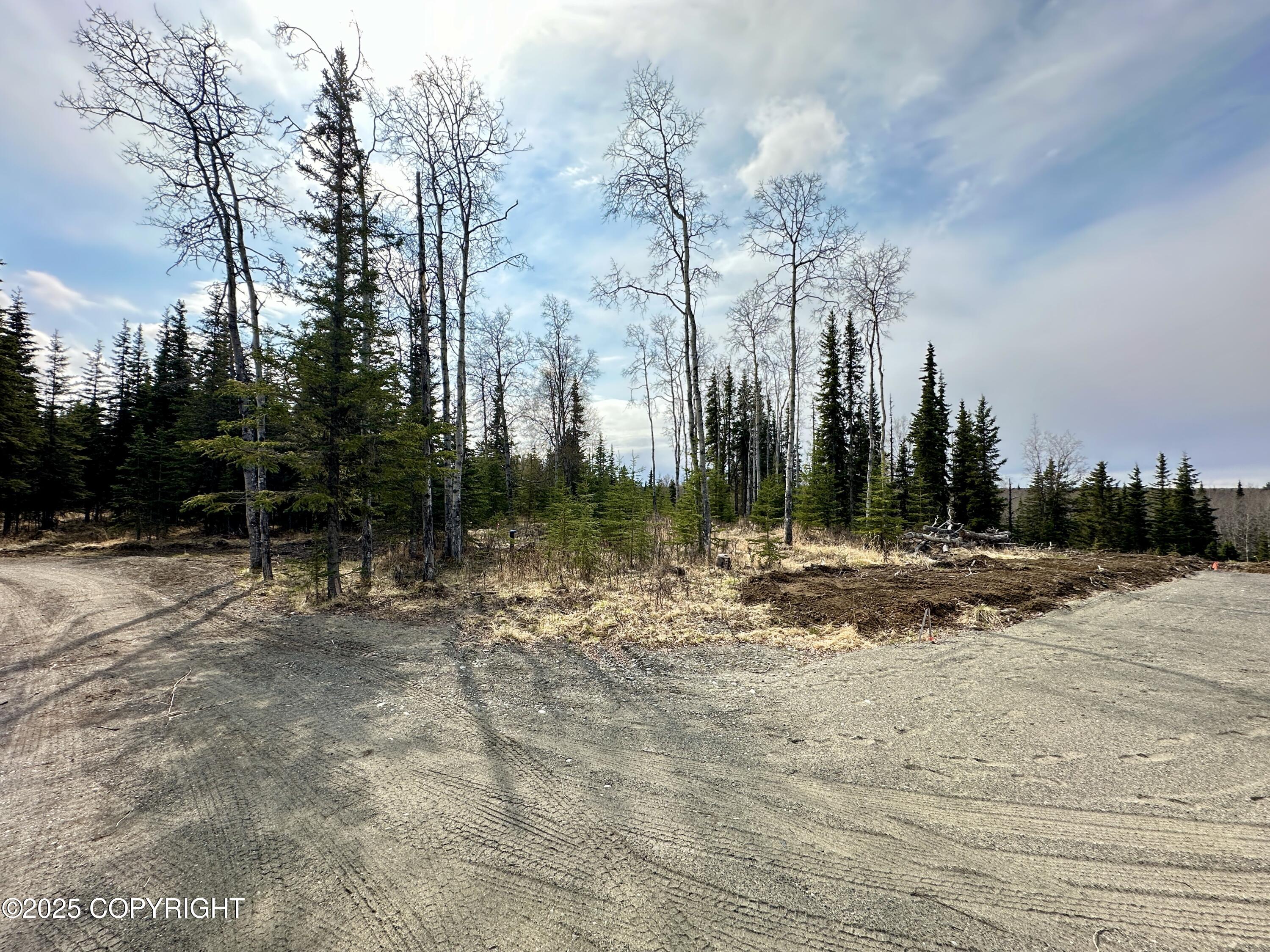 25005 Arctic Fox Road, Kasilof, Alaska image 17