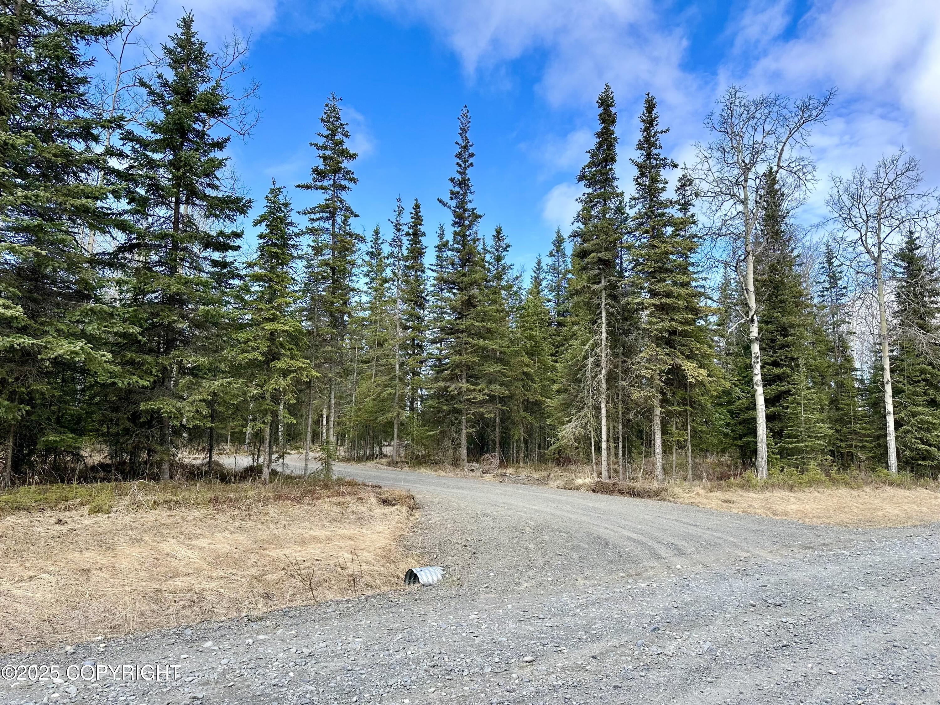 25005 Arctic Fox Road, Kasilof, Alaska image 7