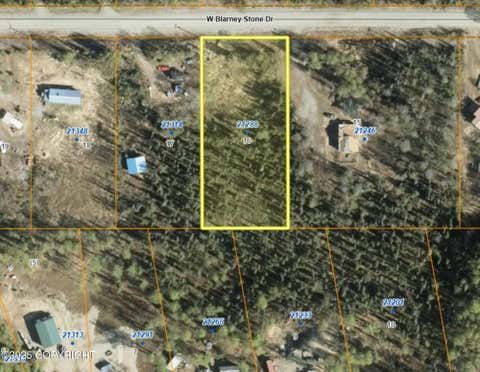 Vacant Land For Sale - 21288 W Blarney Stone Drive<br/> Big Lake, AK 99652