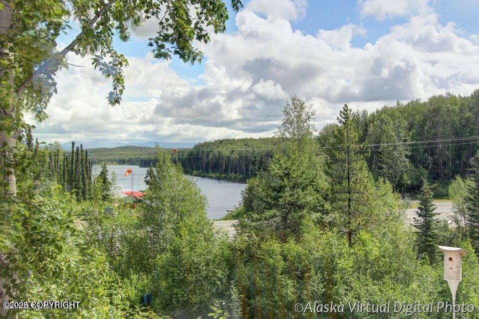 28468 S Talkeetna Spur Spur, Talkeetna, Alaska image 7