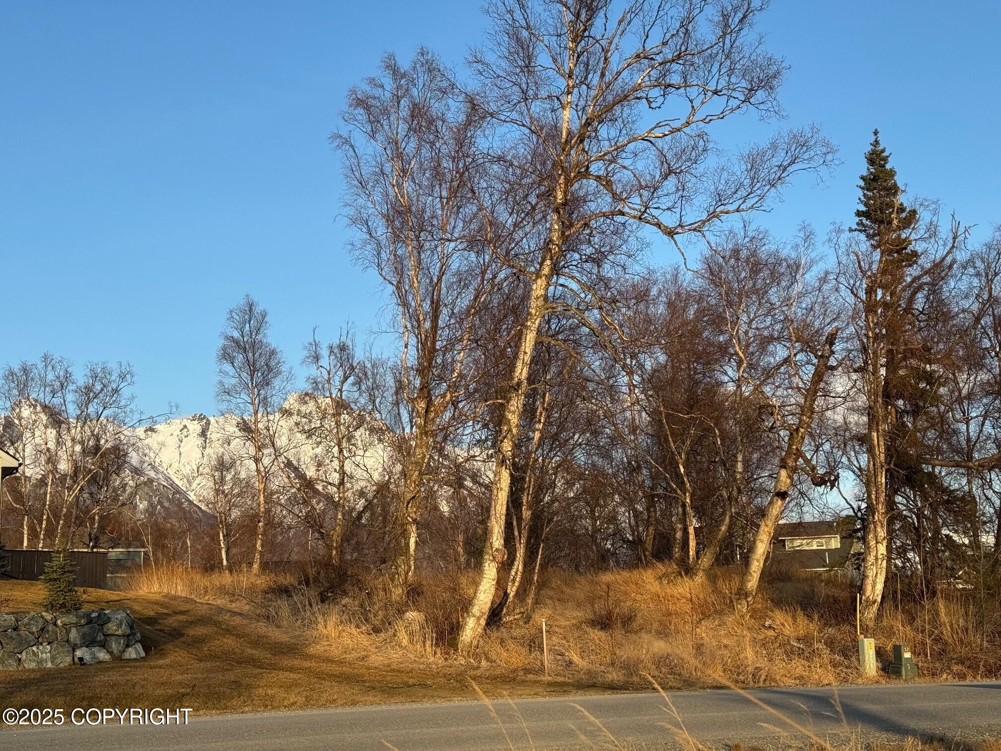 15078 E Rocky Pt Drive, Palmer, Alaska image 5
