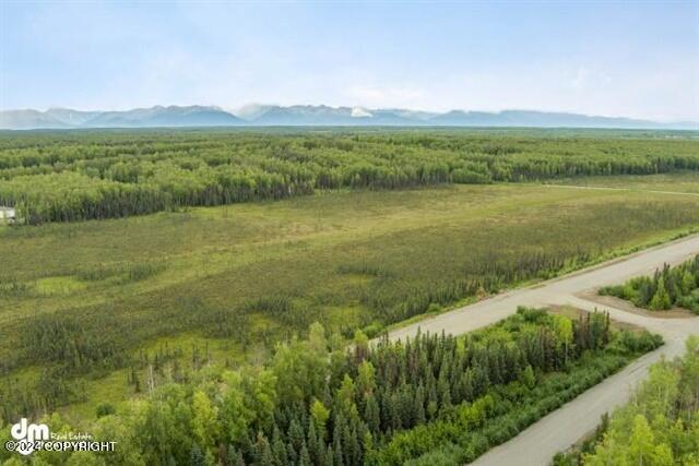 1688 N Saige Boulevard, Houston, Alaska image 1