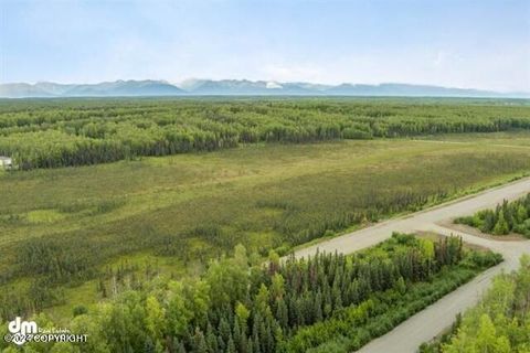 Vacant Land For Sale - 1688 N Saige Boulevard<br/> Houston, AK 99694