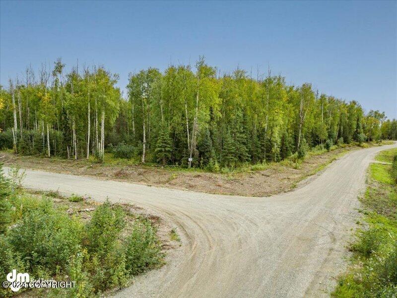 1688 N Saige Boulevard, Houston, Alaska image 23