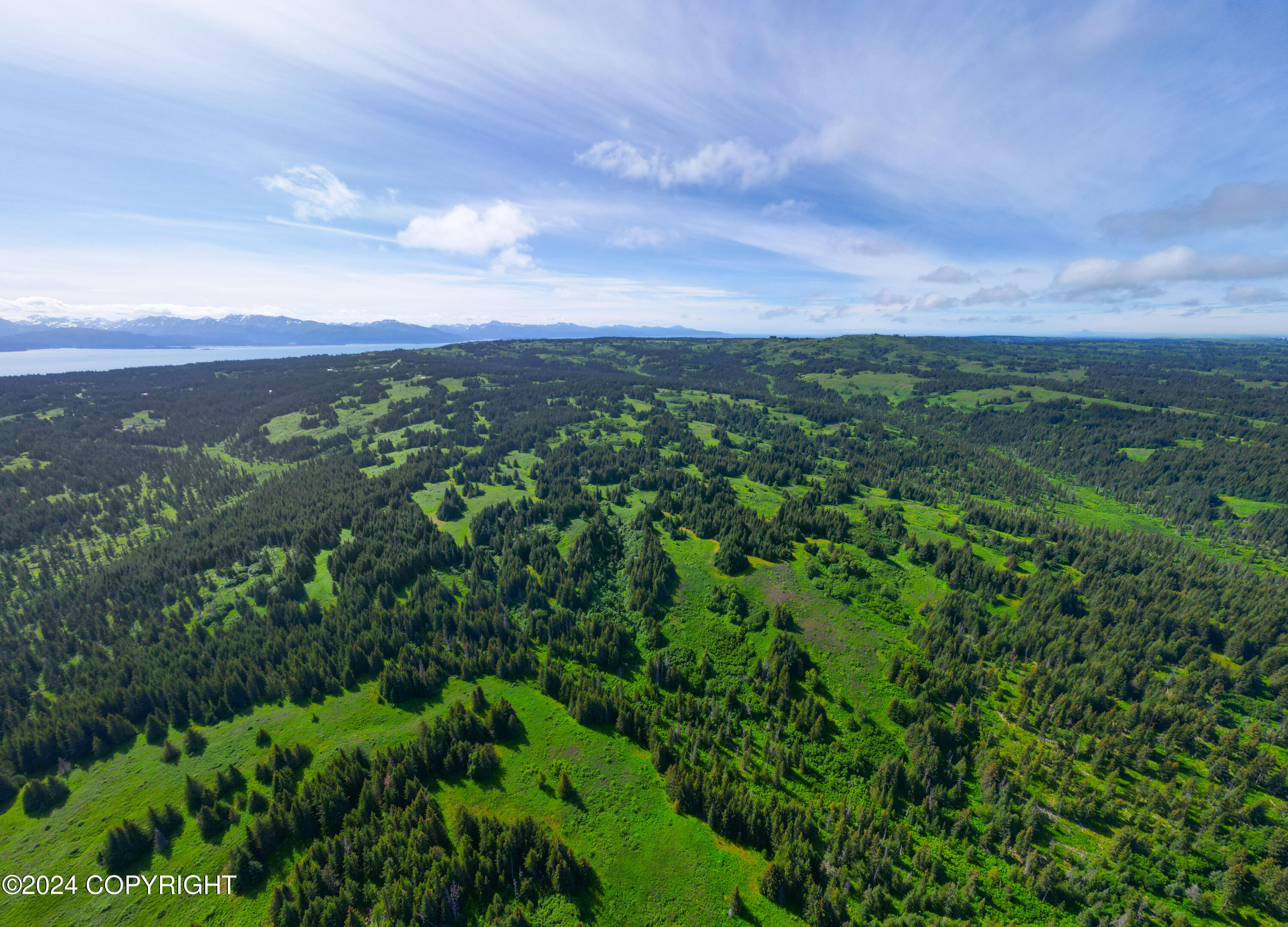 NKA Skyline Drive, Homer, Texas image 16