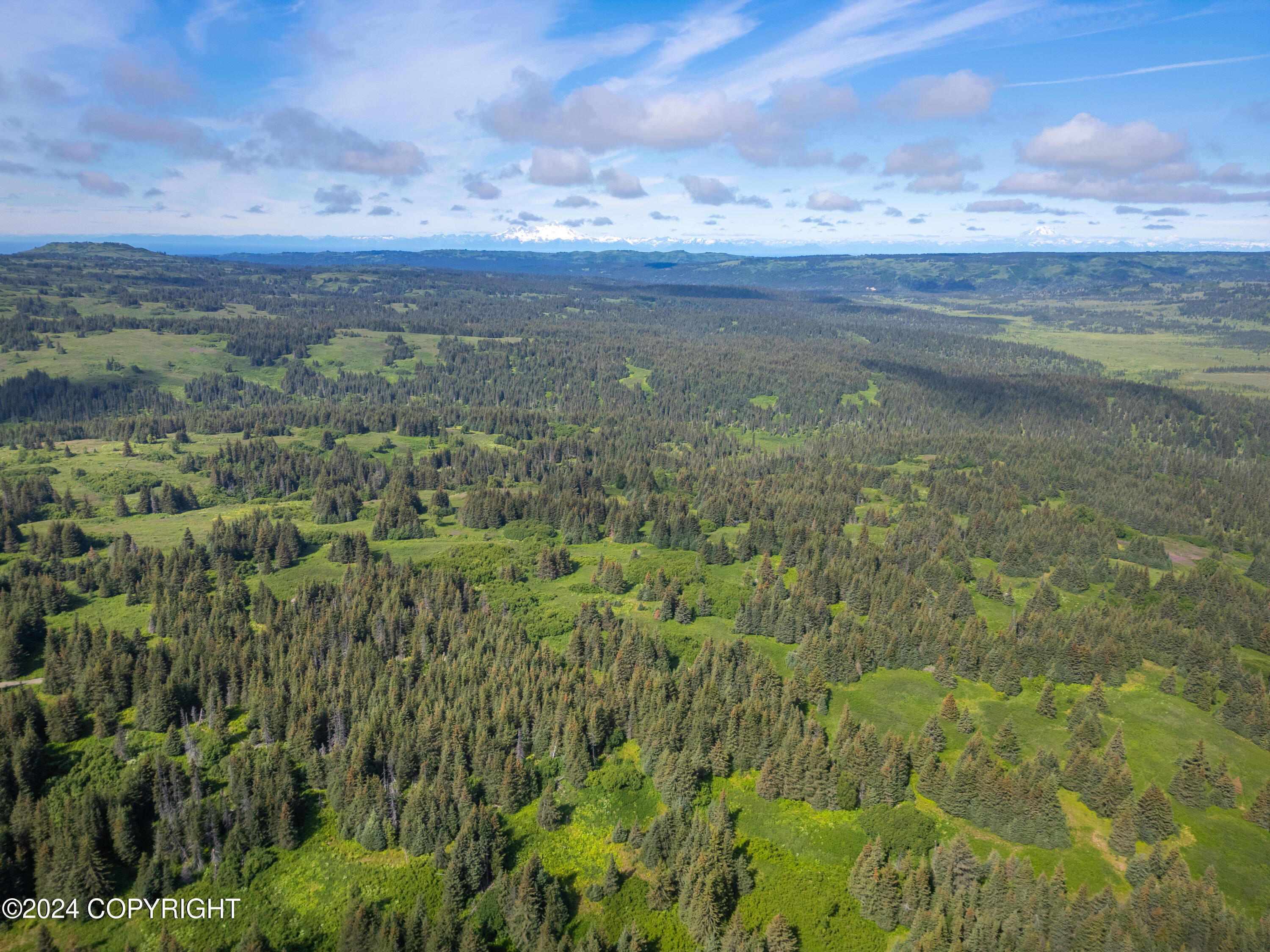 NKA Skyline Drive, Homer, Texas image 9