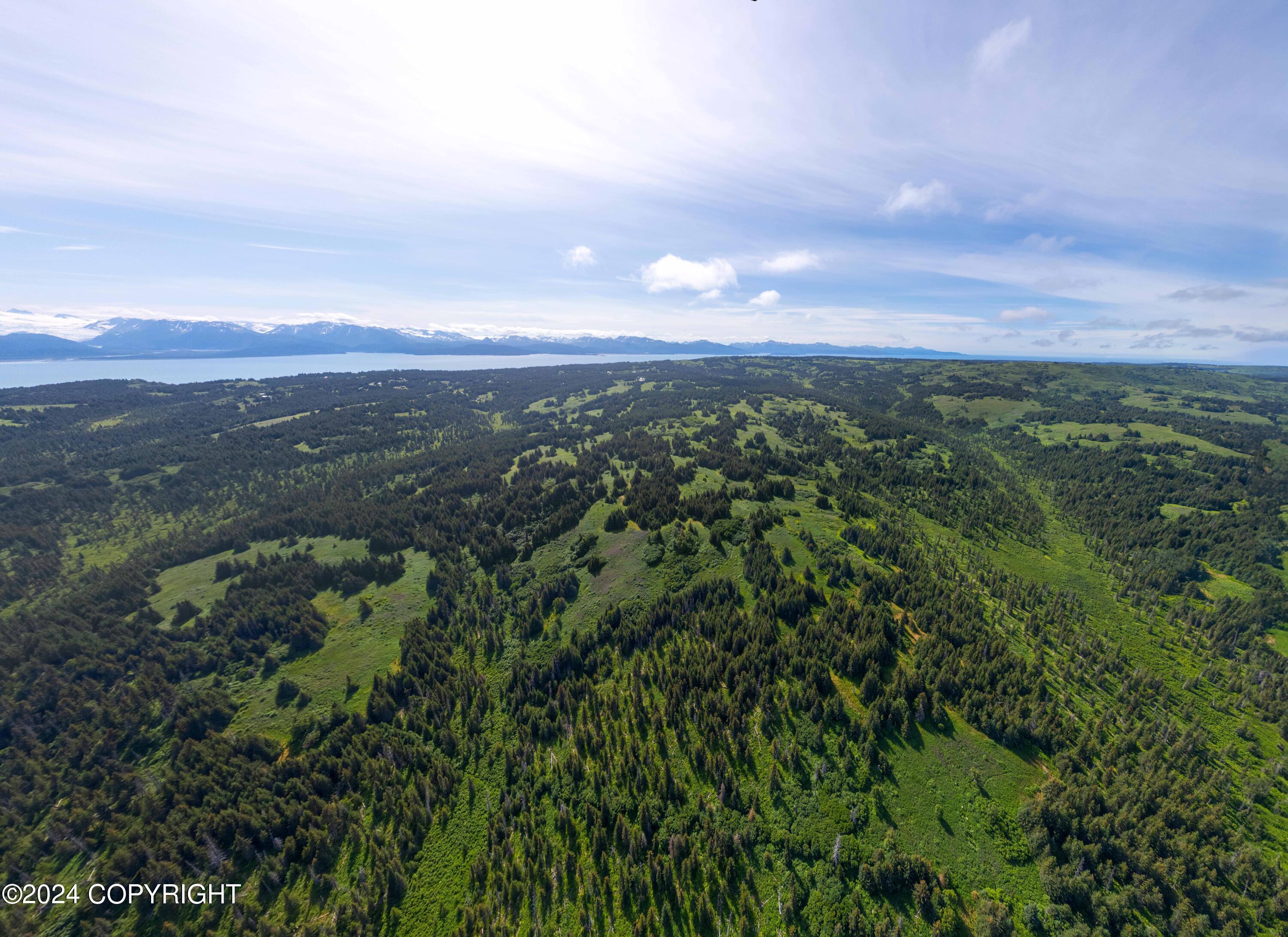 NKA Skyline Drive, Homer, Texas image 19