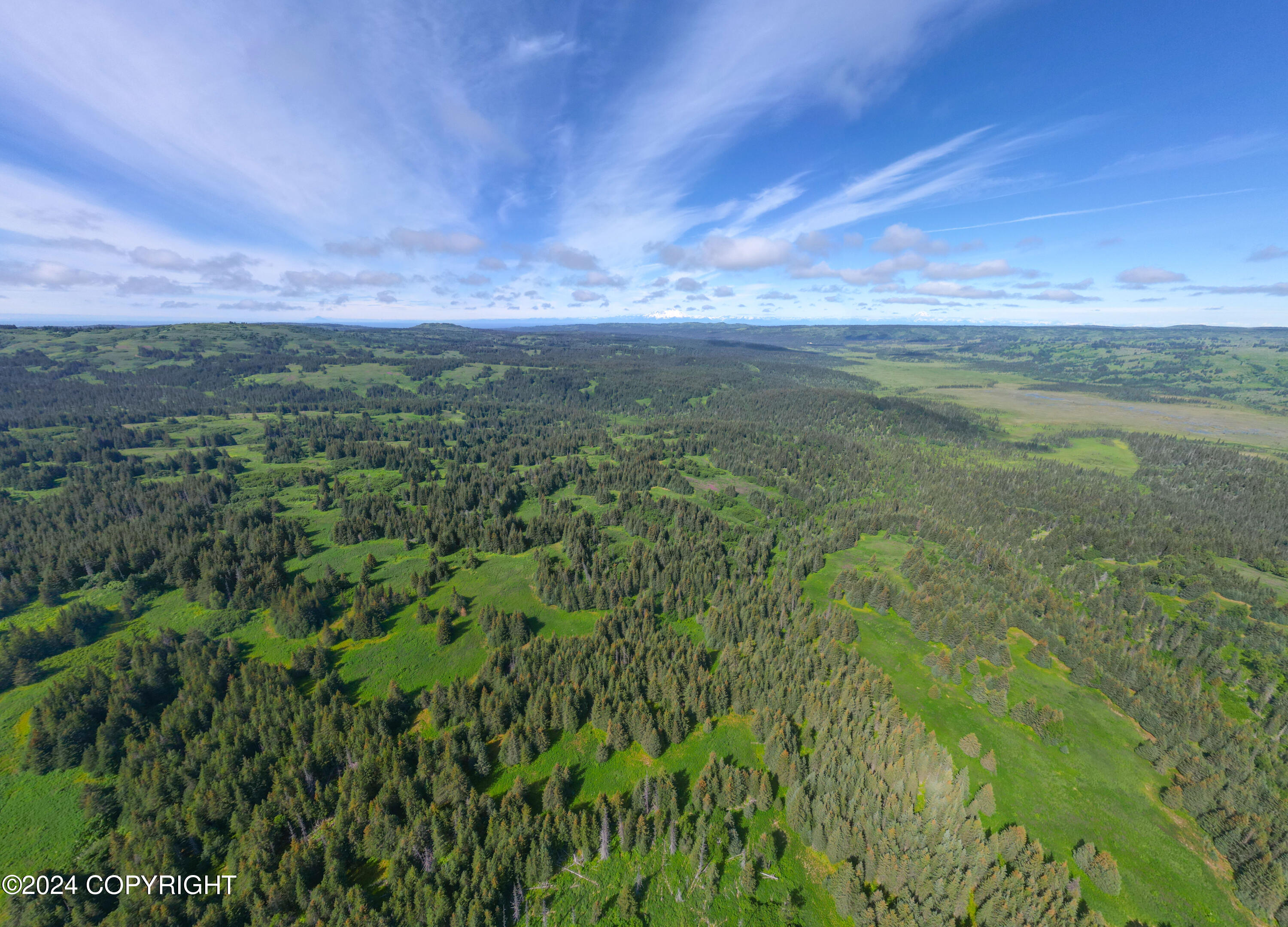 NKA Skyline Drive, Homer, Texas image 14