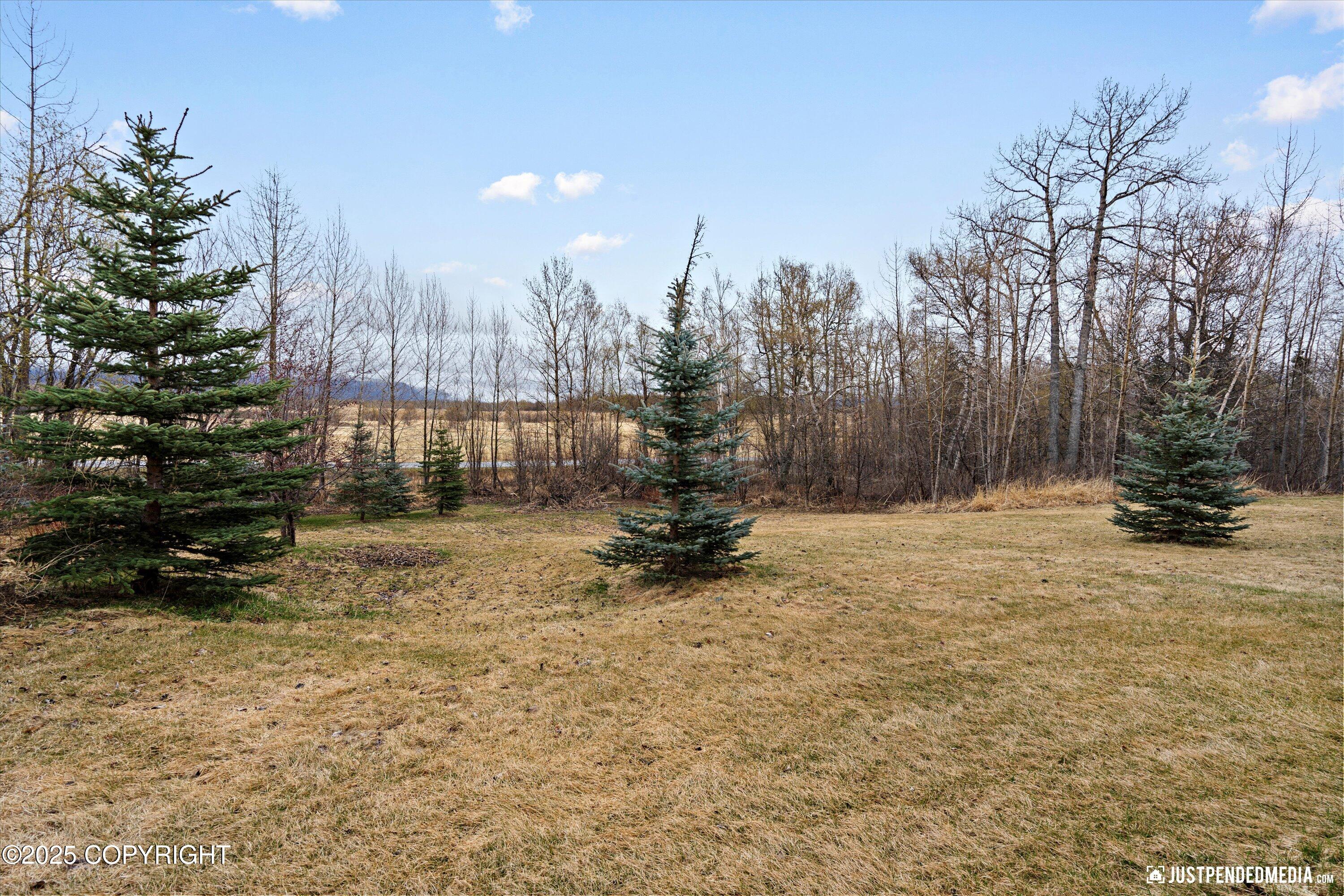 3976 N Moffit Road, Palmer, Alaska image 39