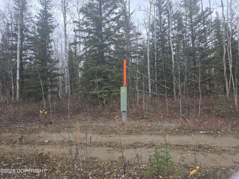 Vacant Land For Sale - L2 B1 Brenden Boulevard<br/> Copper Center, AK 99573