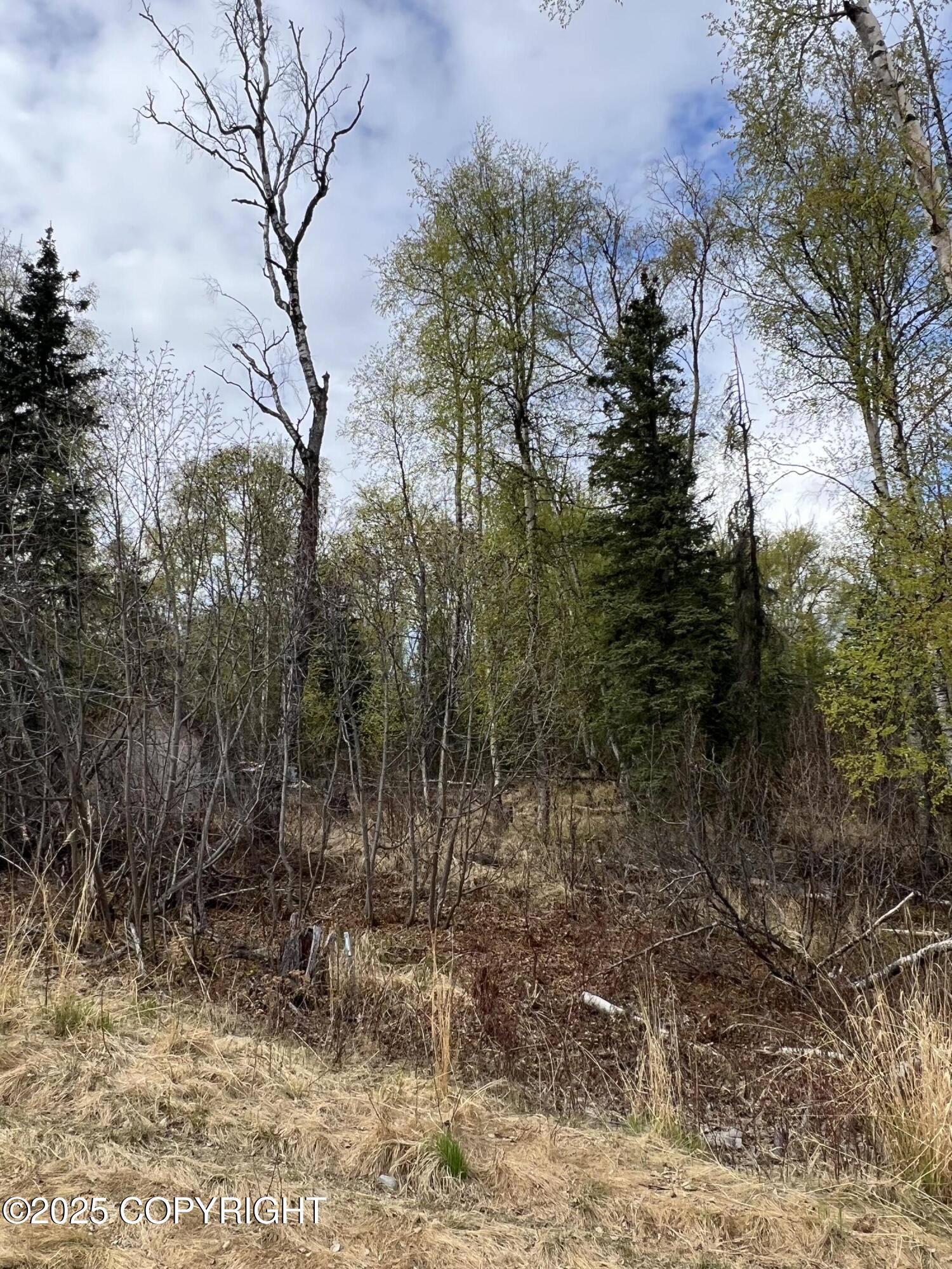 8919 W Cormorant Way, Wasilla, Alaska image 6