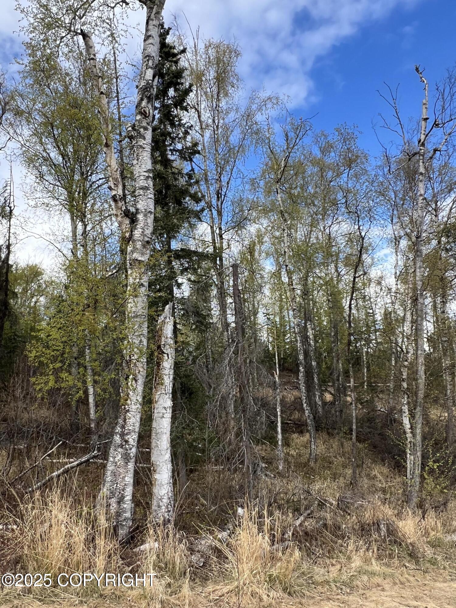 8919 W Cormorant Way, Wasilla, Alaska image 7
