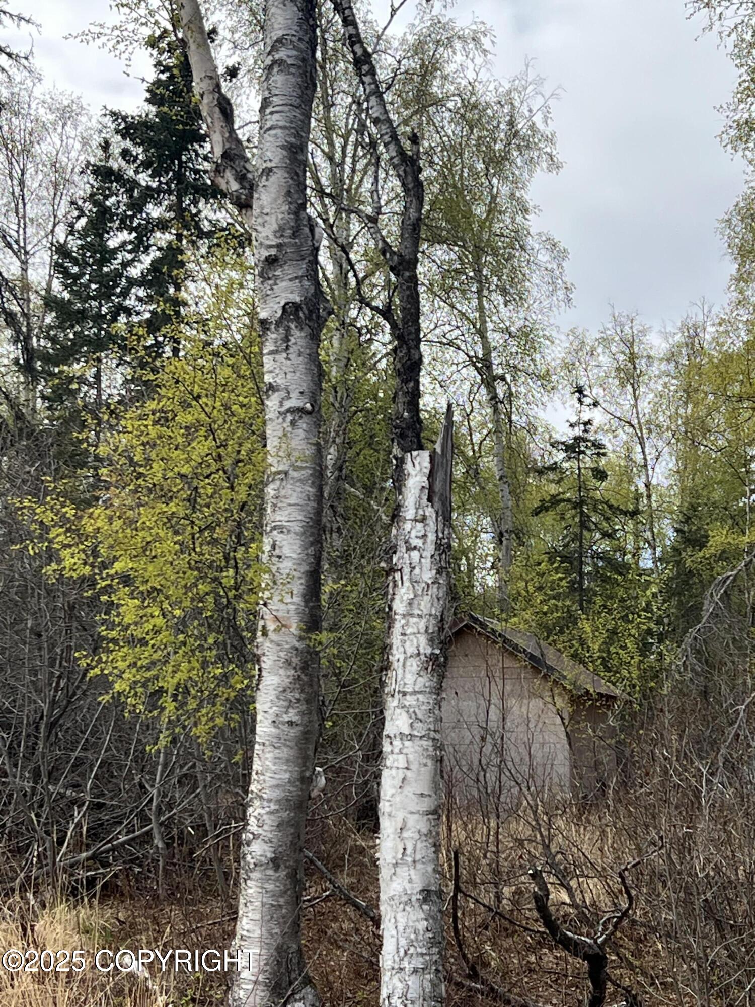 8919 W Cormorant Way, Wasilla, Alaska image 3