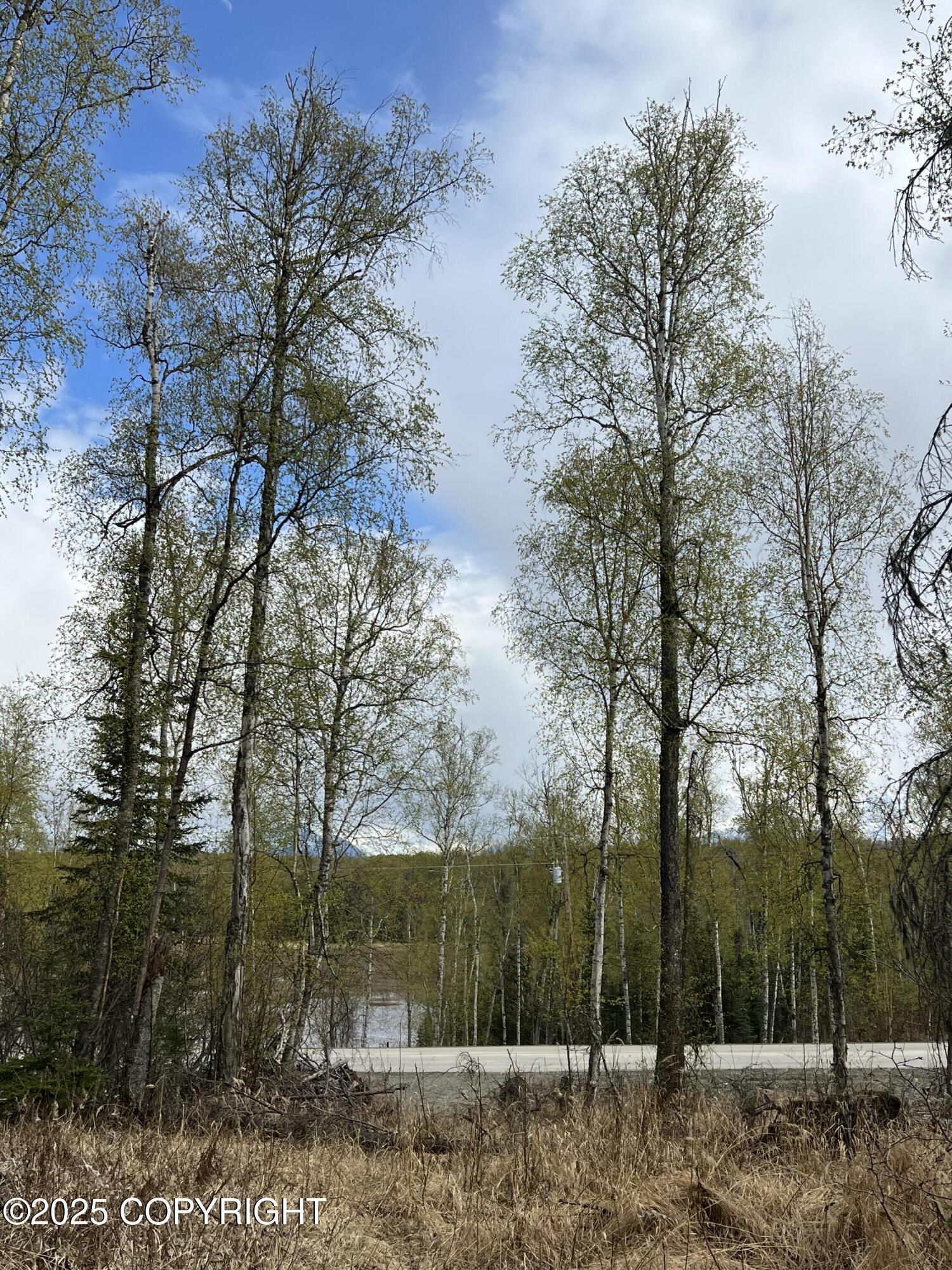8919 W Cormorant Way, Wasilla, Alaska image 10