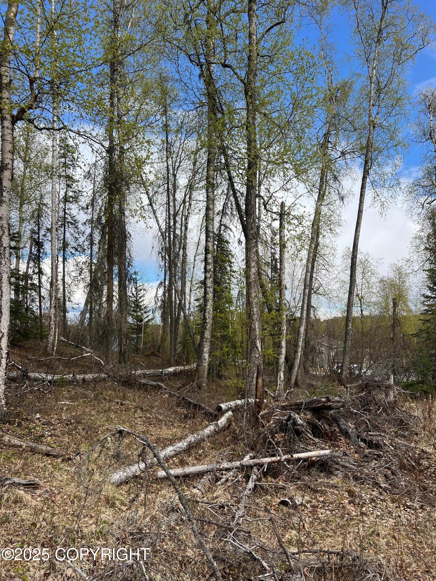 8919 W Cormorant Way, Wasilla, Alaska image 8