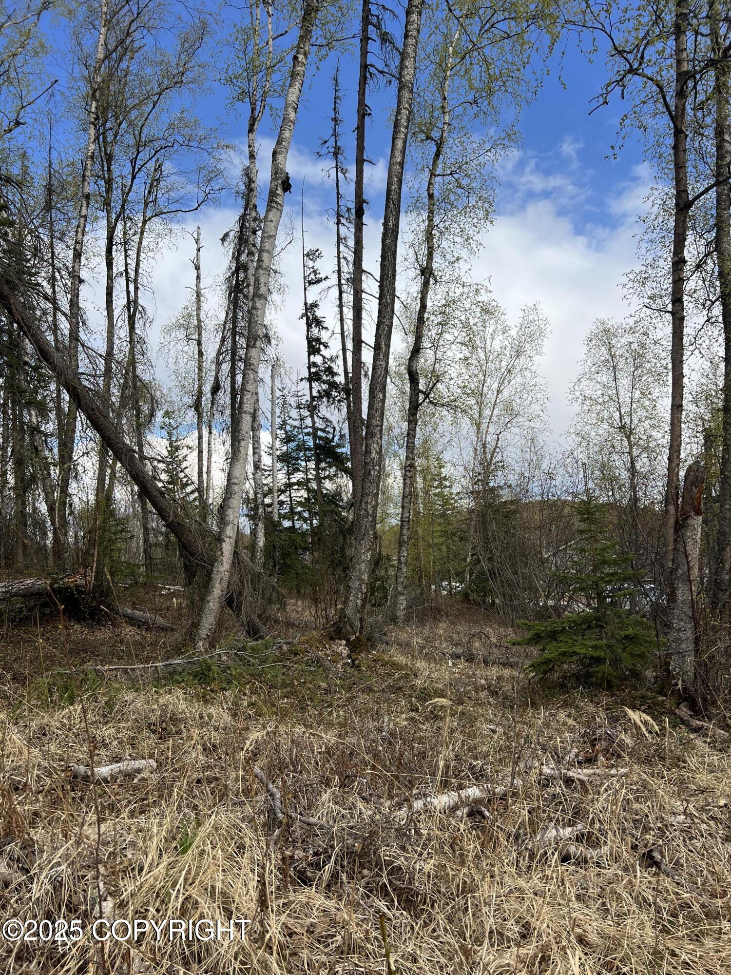 8919 W Cormorant Way, Wasilla, Alaska image 5