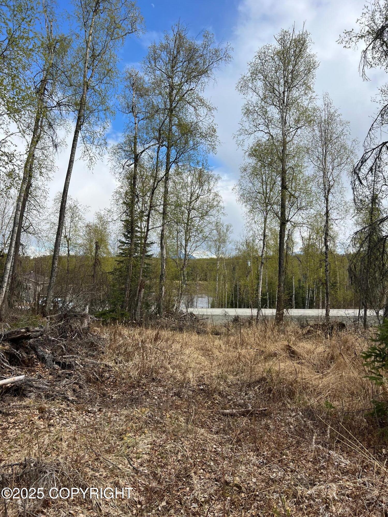8919 W Cormorant Way, Wasilla, Alaska image 9
