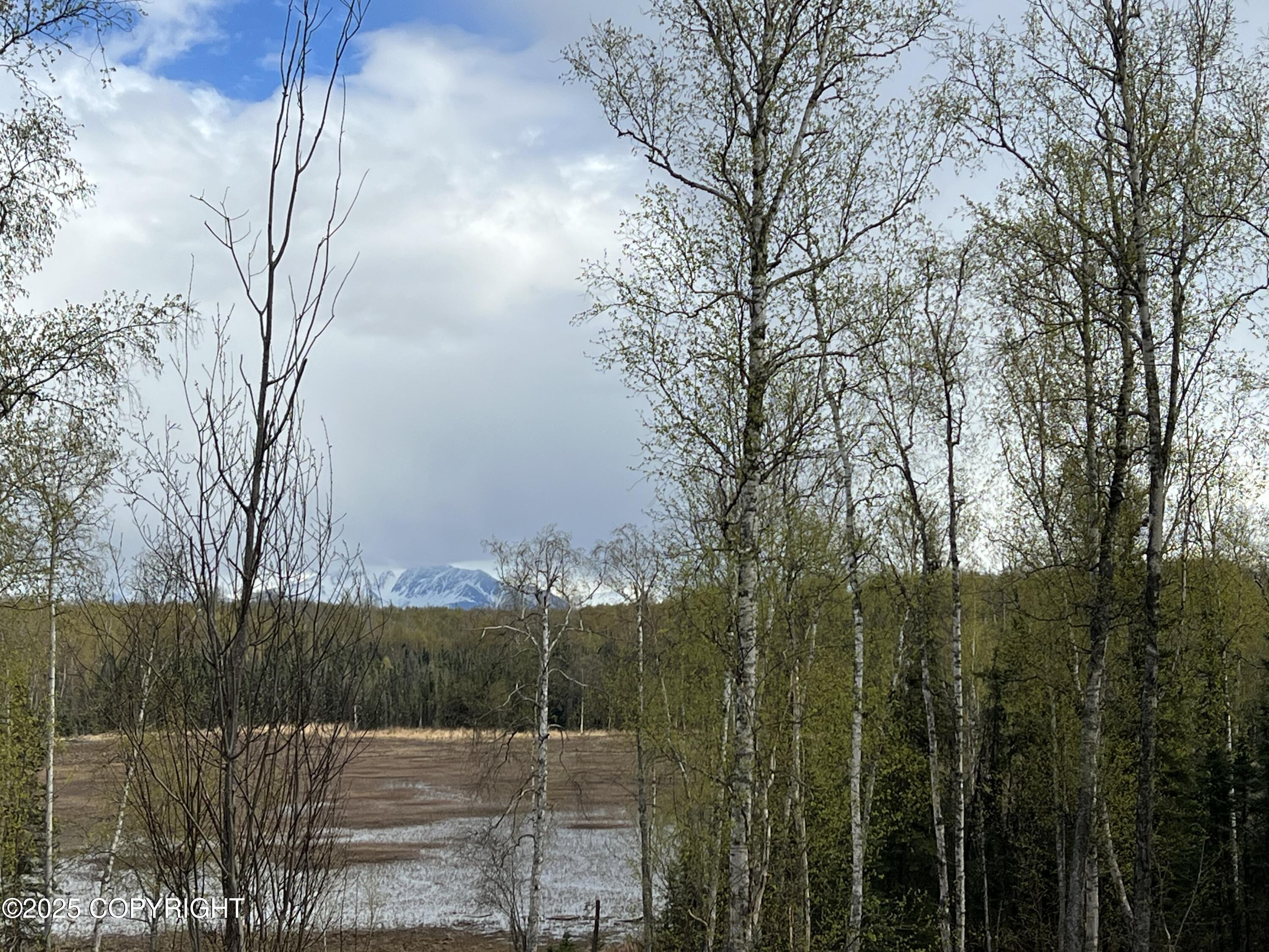 8919 W Cormorant Way, Wasilla, Alaska image 1