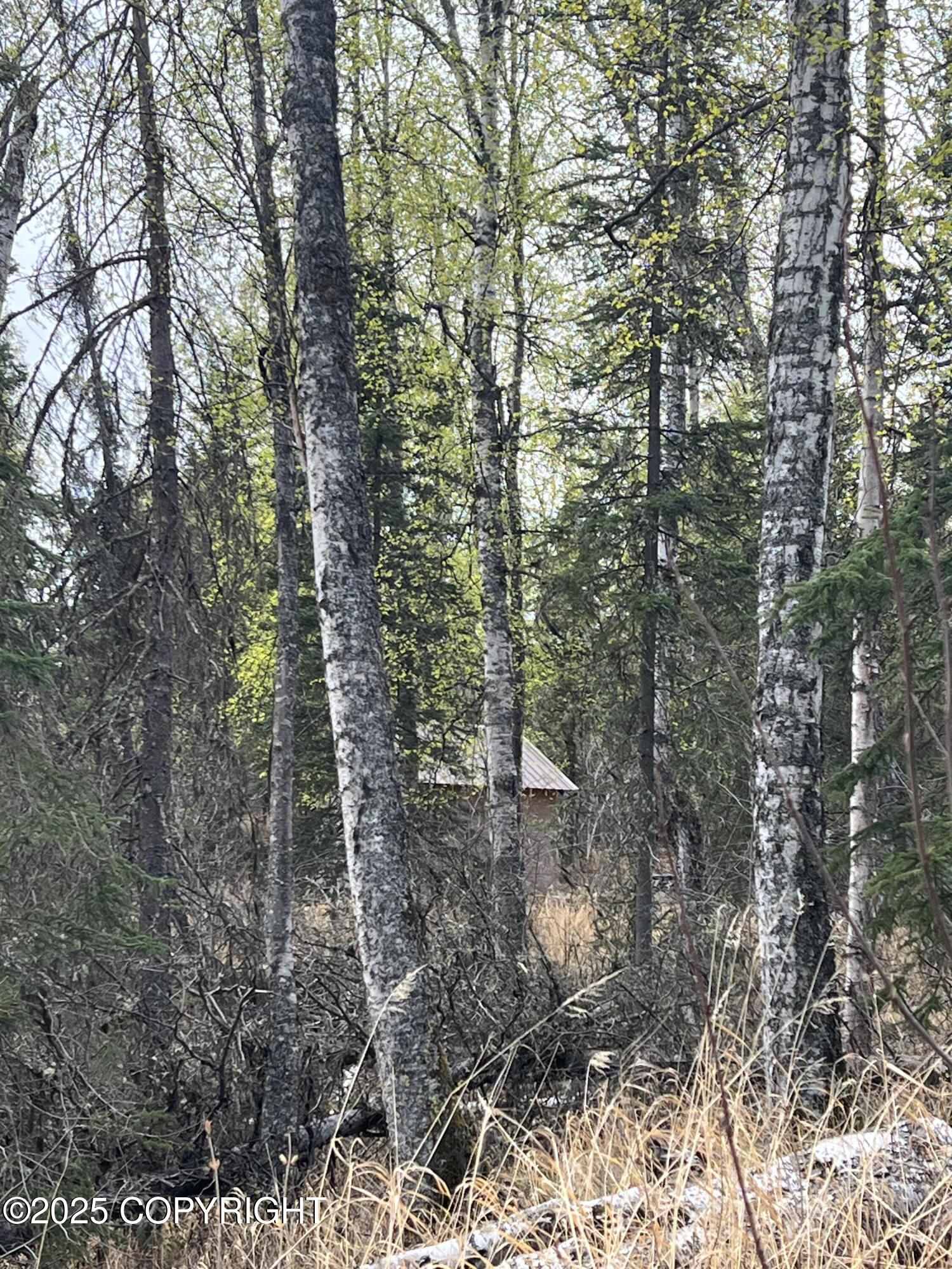 8919 W Cormorant Way, Wasilla, Alaska image 4