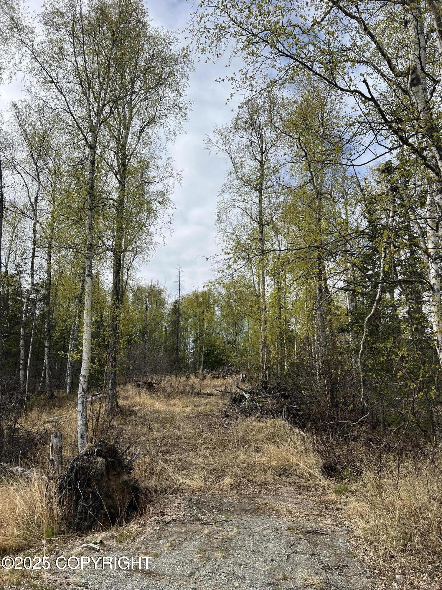 8919 W Cormorant Way, Wasilla, Alaska image 2
