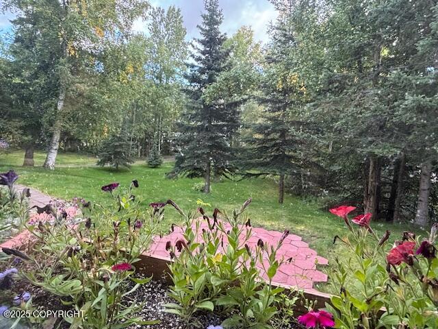 22539 Needles Loop, Chugiak, Alaska image 14