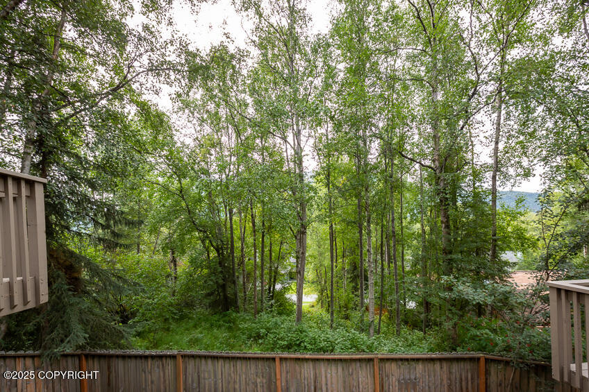 19532 Ostovia Circle, Eagle River, Alaska image 39