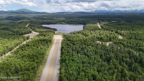 Vacant Land For Sale - 21439 E Quarah Lake Avenue<br/> Talkeetna, AK 99676