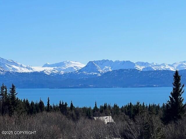 Homer, Alaska 99603, United States, 4 Bedrooms Bedrooms, ,3 BathroomsBathrooms,Residential,Active,152026