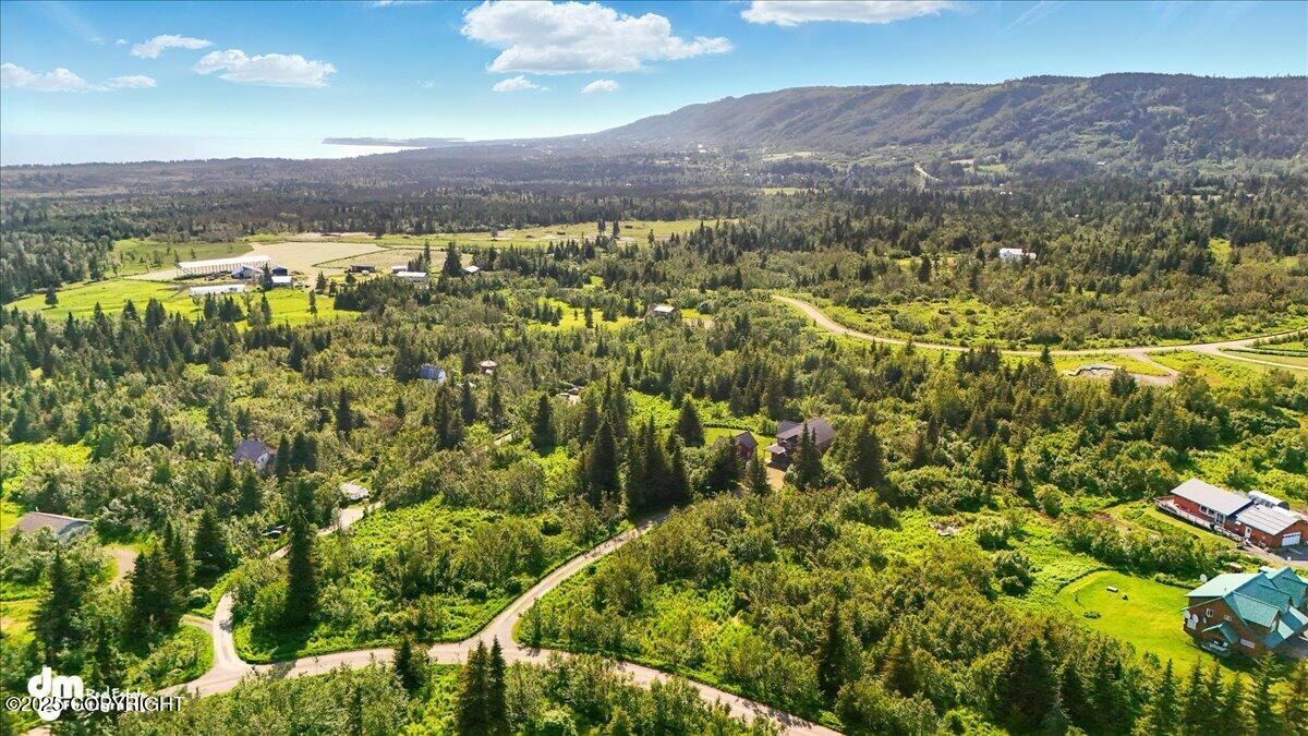 Homer, Alaska 99603, United States, 4 Bedrooms Bedrooms, ,3 BathroomsBathrooms,Residential,Active,152026