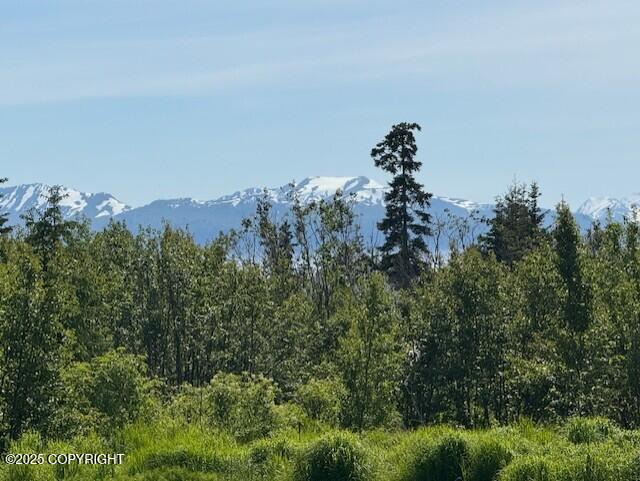 Homer, Alaska 99603, United States, 4 Bedrooms Bedrooms, ,3 BathroomsBathrooms,Residential,Active,152026