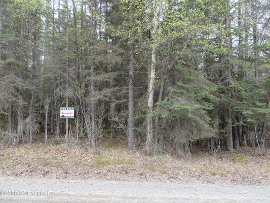 TOLUM RD, CLAM GULCH, AK 99568 - Image ddc5ee61cc3b3b09ef425b2dca9ab1aa/2842470031