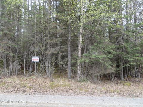 Vacant Land For Sale - L1 Tolum Road<br/> Kasilof, AK 99610