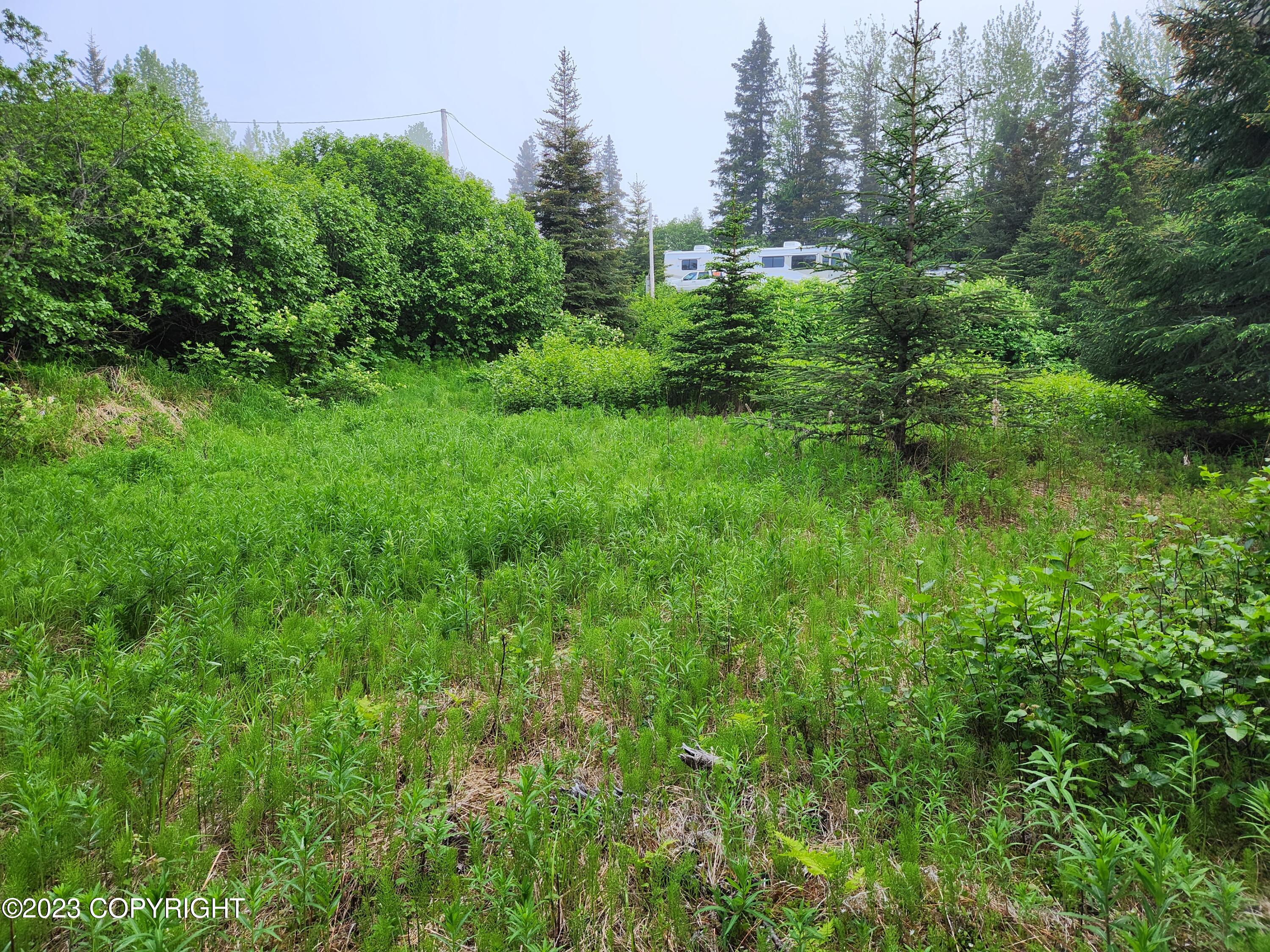 35765 Erin Way, Anchor Point, Alaska image 9