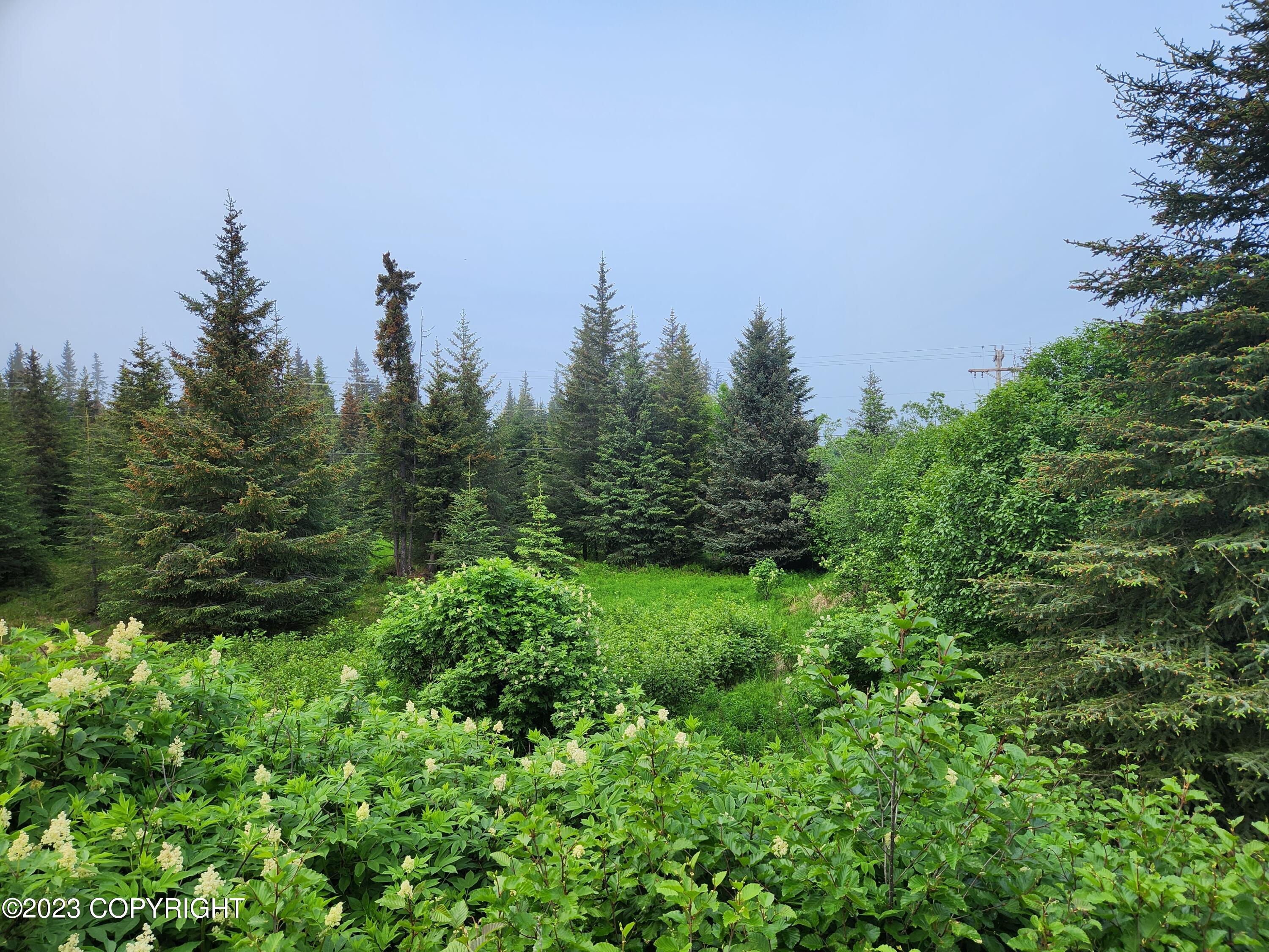 35765 Erin Way, Anchor Point, Alaska image 7