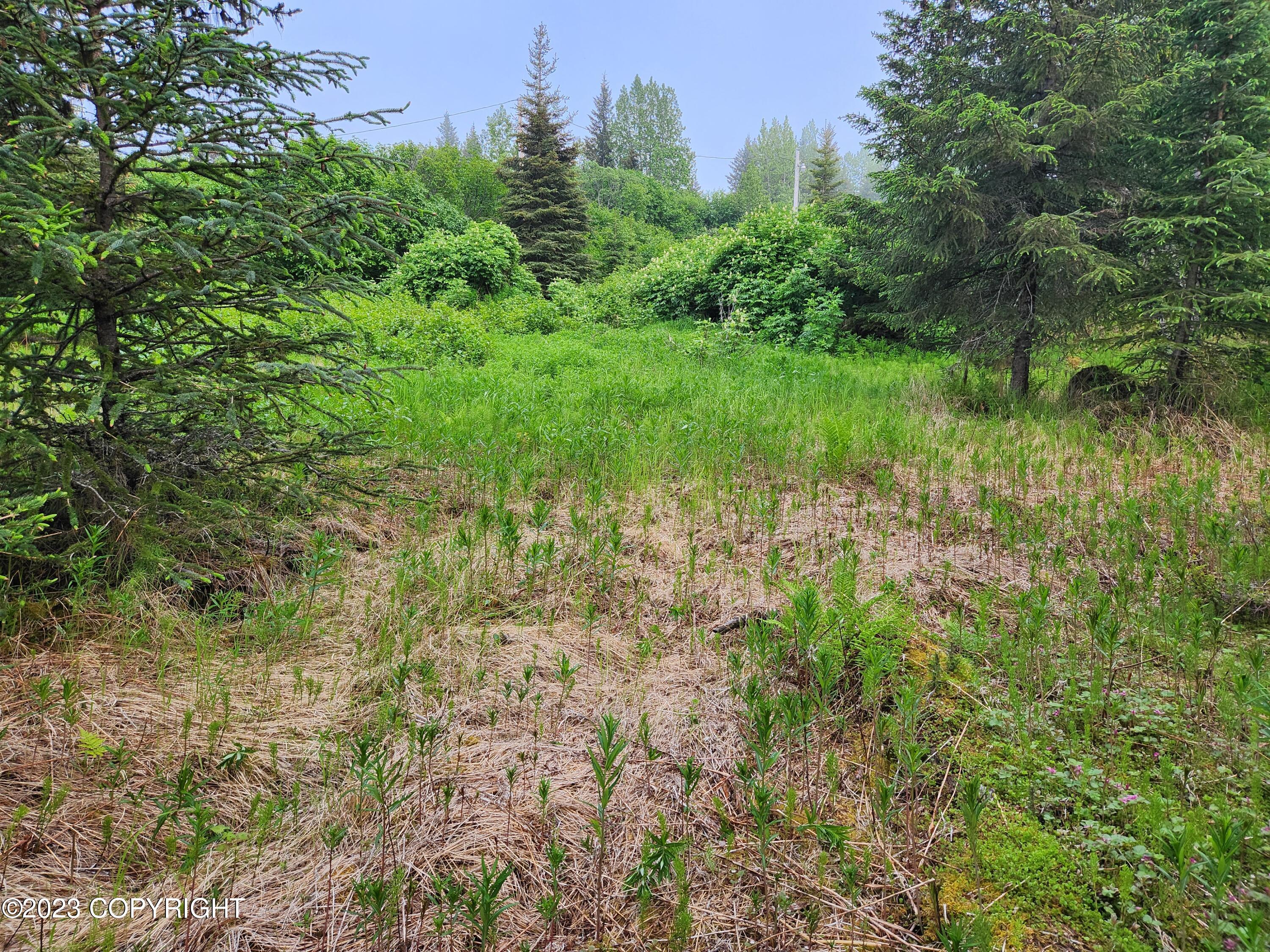 35765 Erin Way, Anchor Point, Alaska image 11