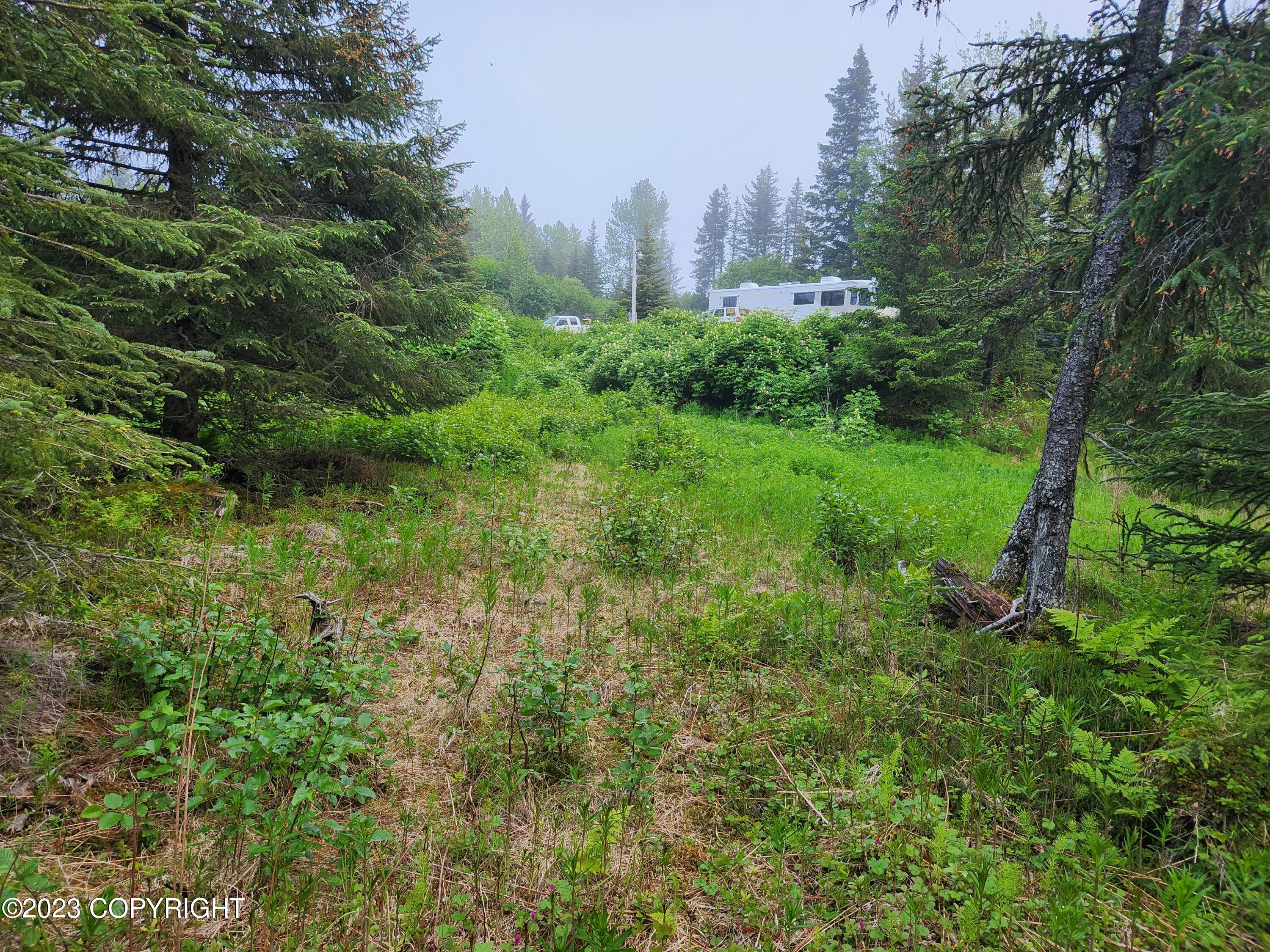 35765 Erin Way, Anchor Point, Alaska image 10