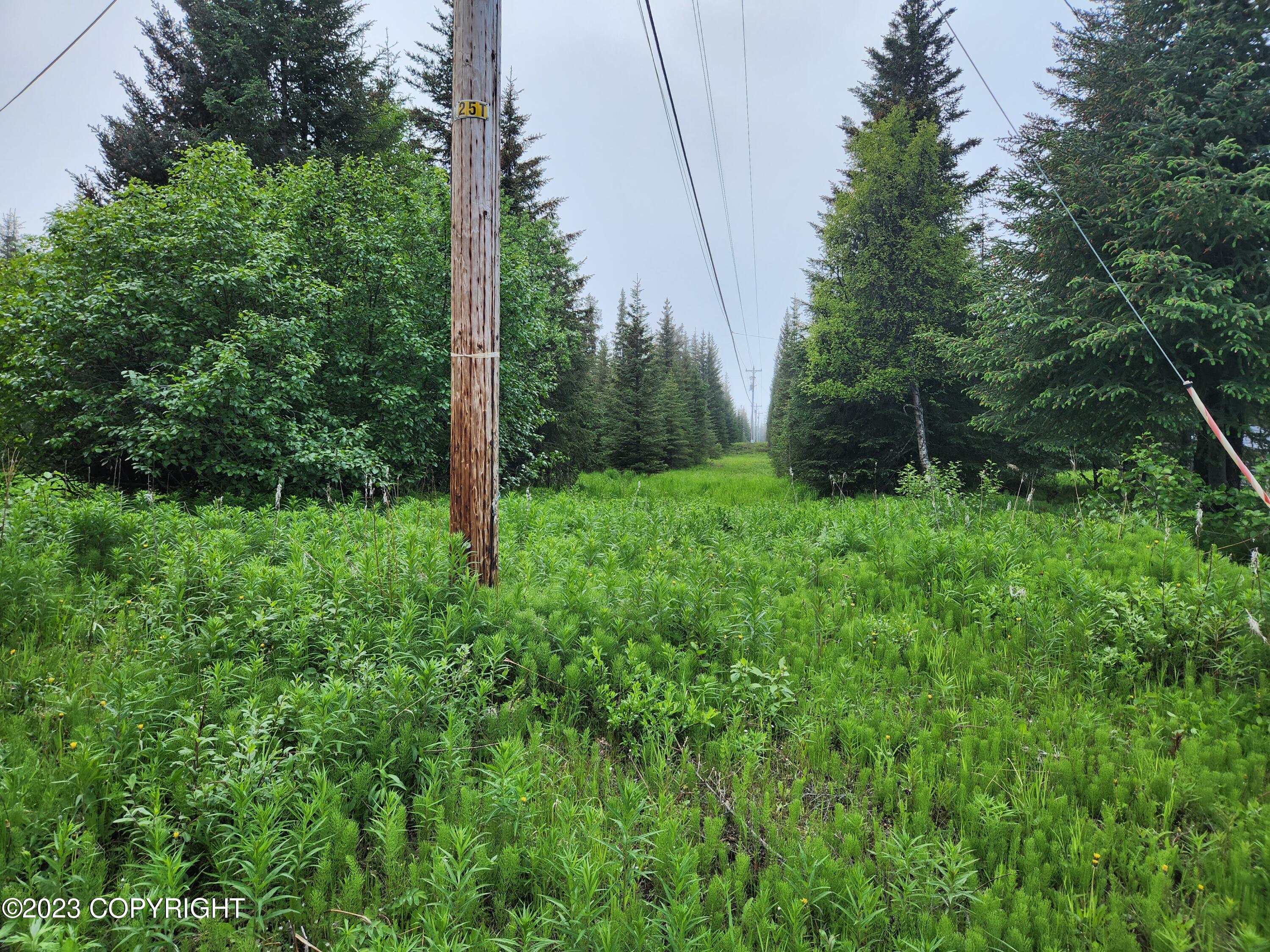35765 Erin Way, Anchor Point, Alaska image 8