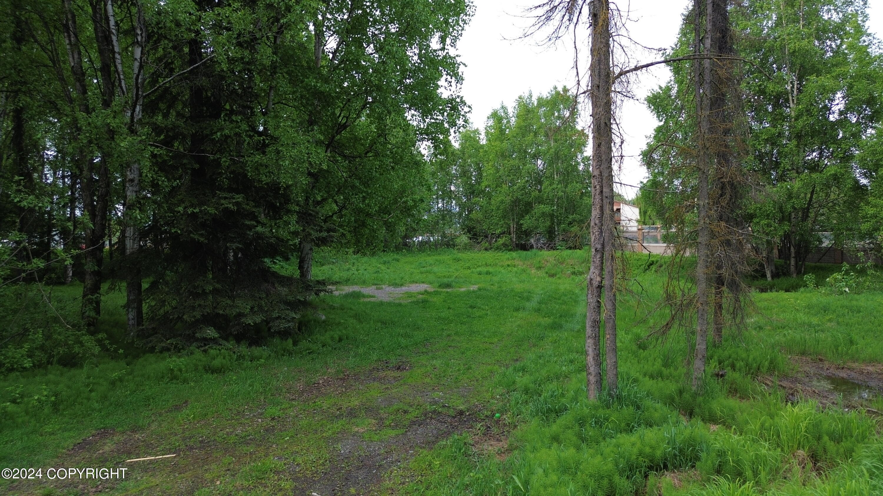 7321 Branche Drive, Anchorage, Alaska image 5