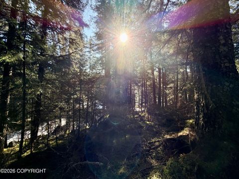 Photo of L7 B4 Rosenburg Lane, Seldovia, AK 99663 (MLS # 26-4849)