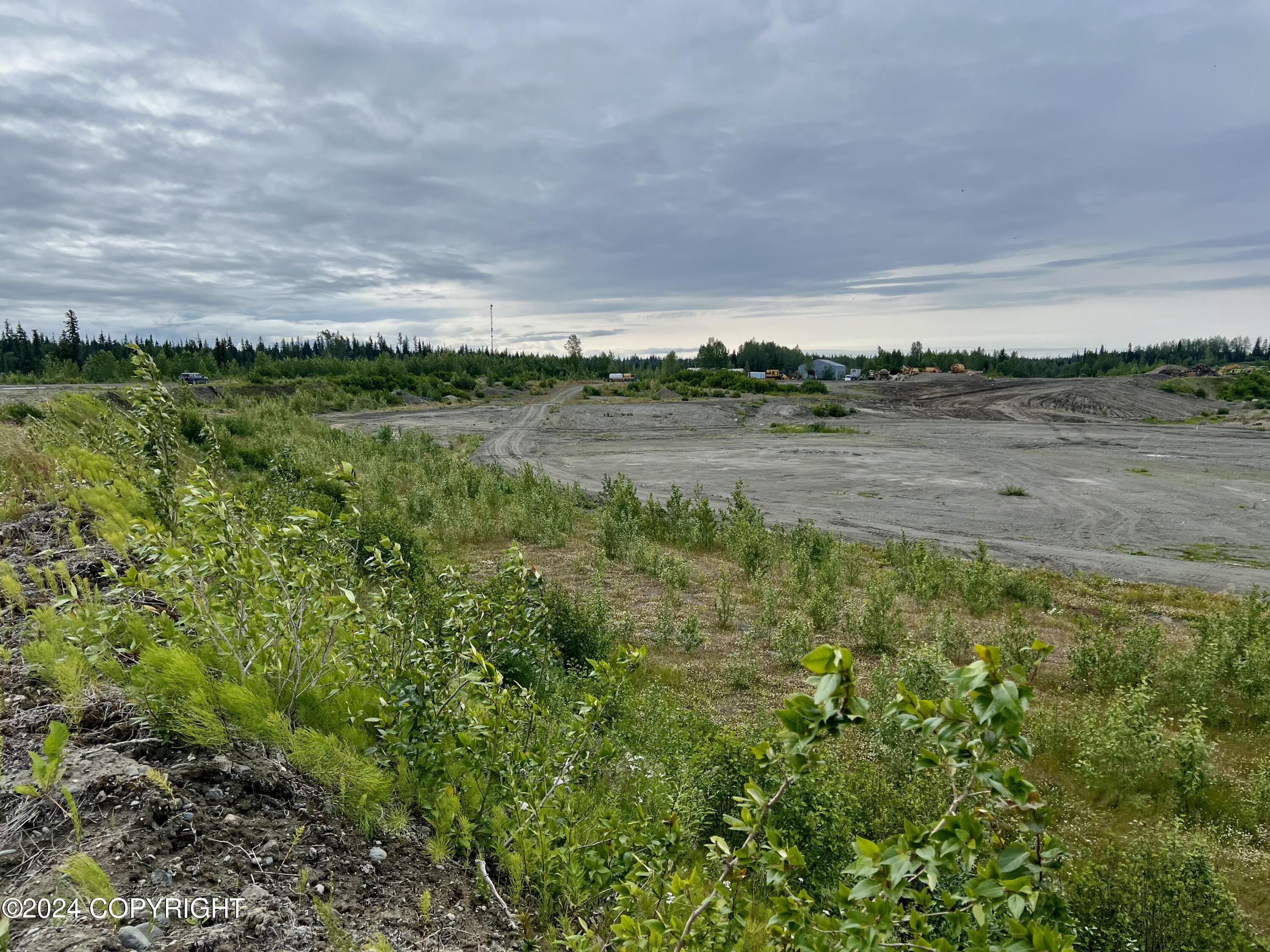 Lot 7 N Brow Tine Road, Anchor Point, Alaska image 11