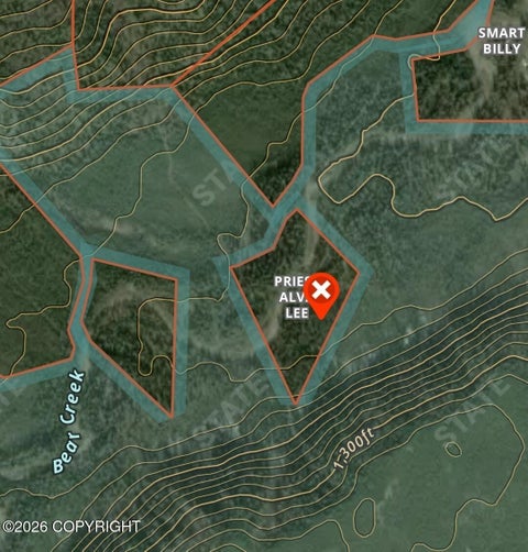 Vacant Land For Sale - TRACT A June Creek Area Asls 84-1<br/> Healy, AK 99743