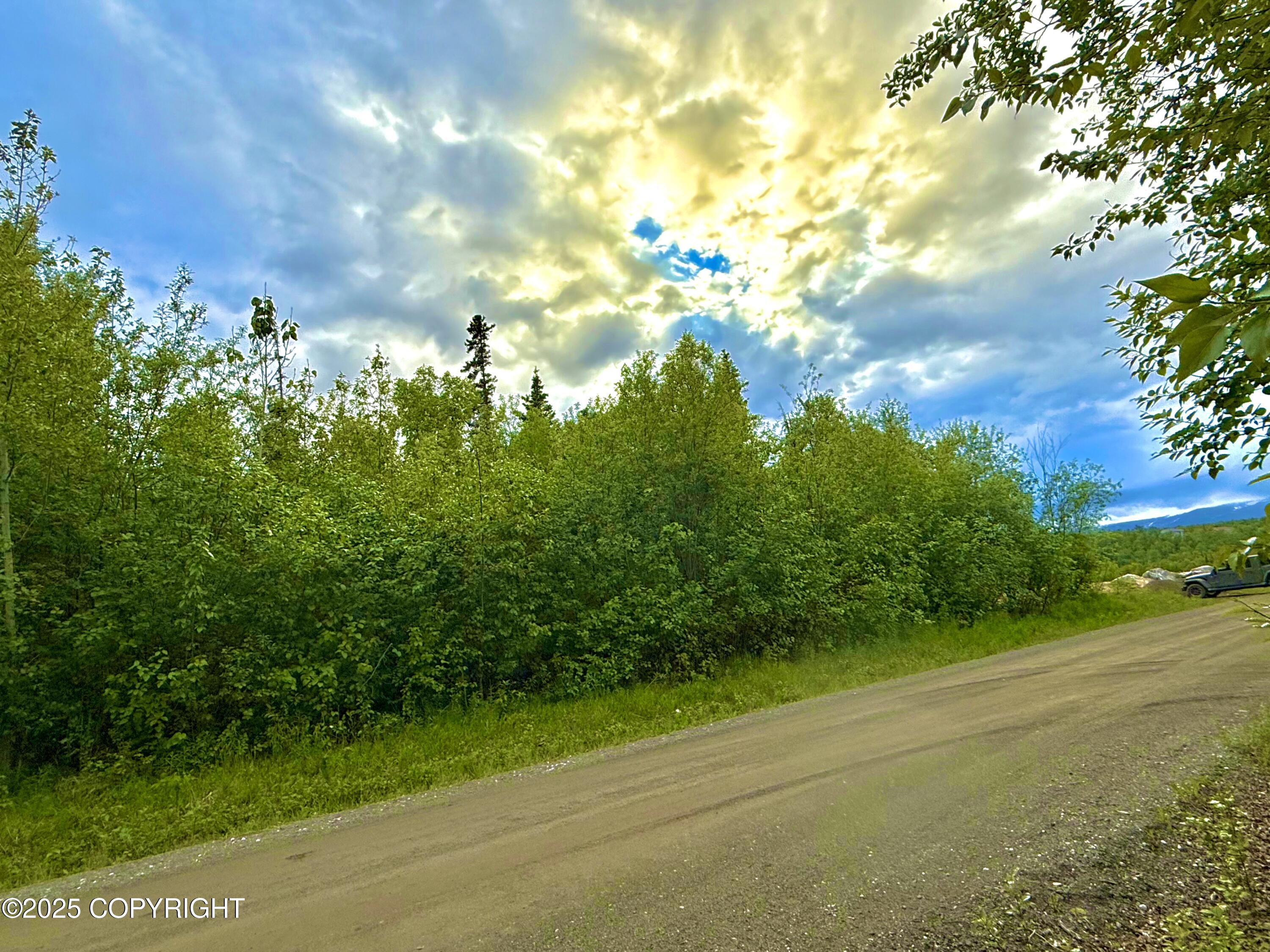 2250 S St John Court, Wasilla, Alaska image 15